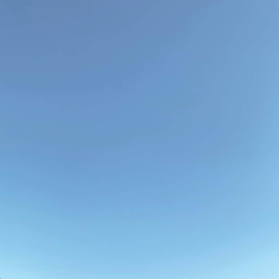 三浦大地さんのインスタグラム写真 - (三浦大地Instagram)「大晦日の空。  自分の気持ちとは裏腹な快晴。」12月31日 19時29分 - daichi_1127