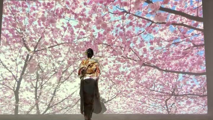 駒形咲希のインスタグラム：「❤︎ 2020年、ありがとうございました あっという間に過ぎましたね 皆さんもいろんなことが思うようにいかず自由にならず、もどかしい一年だったと思います 来年はもっとたくさん、いろんなことをして身の詰まった一年になるといいね それでは、今年もあと数時間！ 来年もよろしくお願いします❤︎ . . .  #モデル #黒髪 #ディスカバリーネクスト #振袖 #伊勢丹 #着物 #kimono #model #girl #me #tokyo #japan #photo #camera #pic #picture #holiday #vacation #travel #trip #instago」