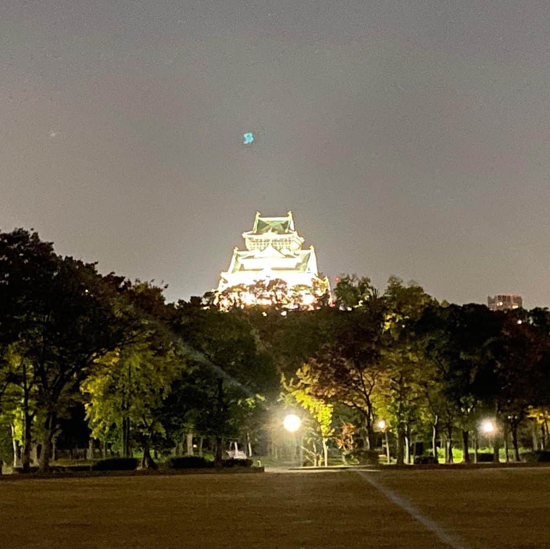 長谷川ヨシテルさんのインスタグラム写真 - (長谷川ヨシテルInstagram)「ぼくは#大阪城 の#城にゃんこ だにゃ。 ・ #れきしクン とは#大阪城公園 の#スタバ の近くで出会ったにゃ。 ・ #お好み焼き を食べた帰りだったみたいでご陽気だったにゃ。 あと前の日に結婚したらしいにゃ。 ・ #豊臣秀吉 さんが造った大阪城は、 今は夜に#ライトアップ されてて、 #イルミネーション がキレイだから、ぜひ来て欲しいにゃ。 ・ あ、今年もれきしクンがお世話になったにゃ。 来年もよろしくにゃ。」12月31日 20時01分 - yoshiteru_hsgw