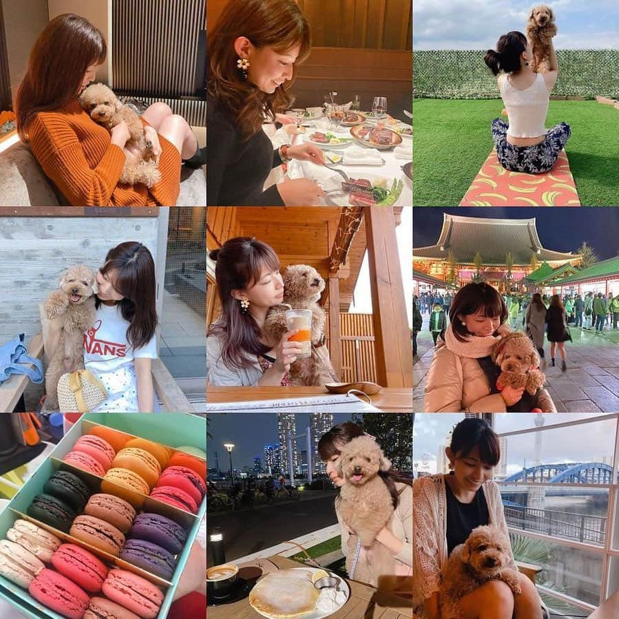 熱田久美さんのインスタグラム写真 - (熱田久美Instagram)「#2020bestnine 🕊(7枚にイブがランクイン🐶) 色々なことが目まぐるしく過ぎていった2020年も 残すところ数時間となりました。  今年も1年間  大変お世話になりました🙇‍♀️🙏 わたしの今年の漢字は「成」 世間ではコロナで多くの方の環境が変わったり、 変化の多かった年だと思います。 わたしは有難いことに今日に至るまで 家族含め健康で過ごすことが出来、 仕事にもほとんど影響が出ることなく (1年を通してかなり良かった年でした) 〔自分らしく〕更にその先に成長できたかなと。 その中で、沢山の幸せなこともありましたし、 いまの環境にもより感謝が深まりました。 たくさんの出会いもあり 多くの方に支えて頂きました🥺 2020年を無事締めくくり、 2021年にはもっとやりたいことや野望など 〔伝えること〕と〔行動すること〕を大切に 進んでいきます。 来年のことはまた年が明けてから…✍  みなさま！良いお年をお迎えください🕊♥️ ・ 今日はお酒解禁！ 頂いた白ワインがあったので この1年お疲れ様の気持ちを込めて… 1人で1本飲も😂(リアルな2-3杯でおわりそうです笑) ・ #2020 #あと少し #師走 #大晦日 #大みそか #lastoftheyear  #成長 #ありがとう #感謝 #いつもありがとう」12月31日 20時09分 - kuumi1125