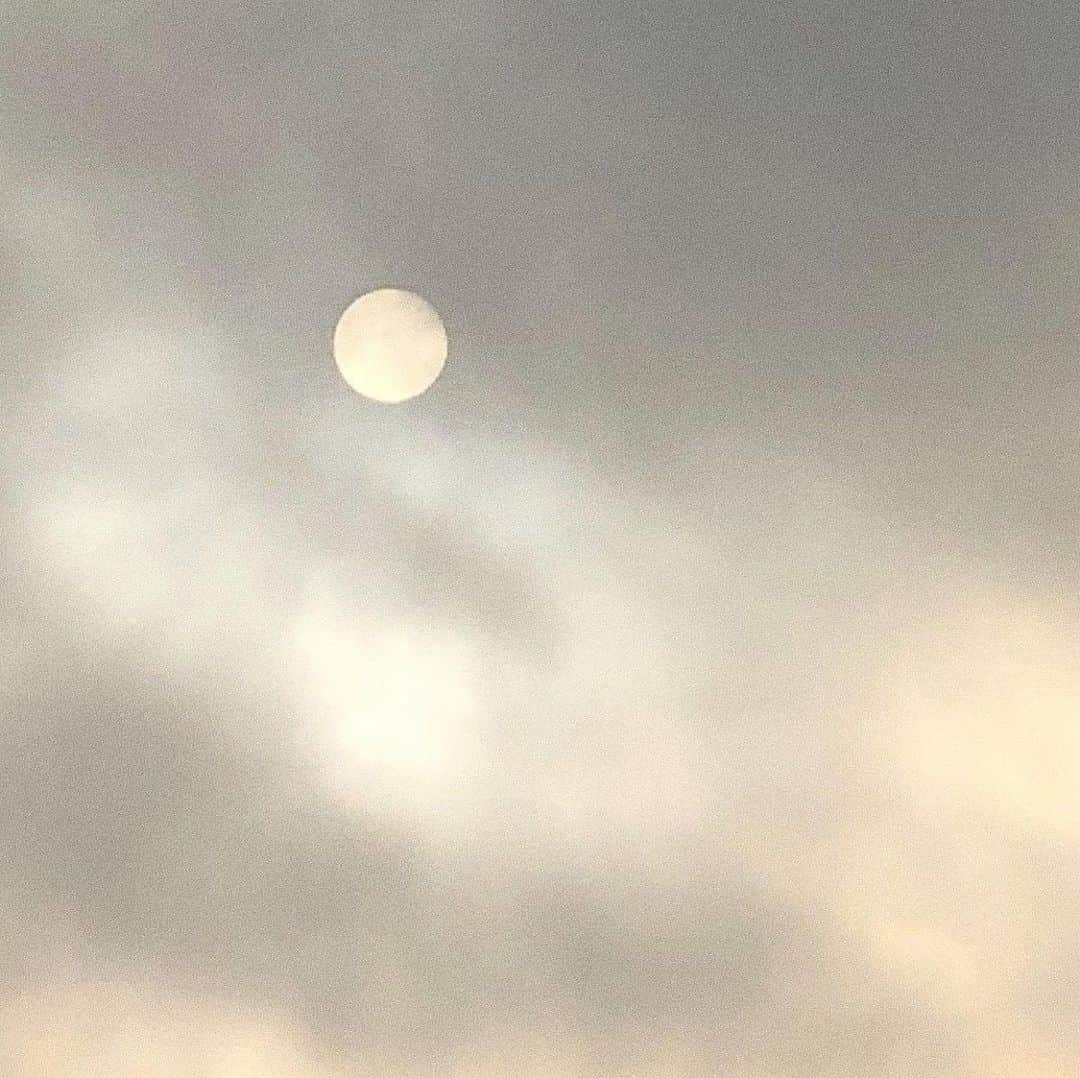 菅谷梨沙子さんのインスタグラム写真 - (菅谷梨沙子Instagram)「🌕」12月31日 20時44分 - risako_sugaya