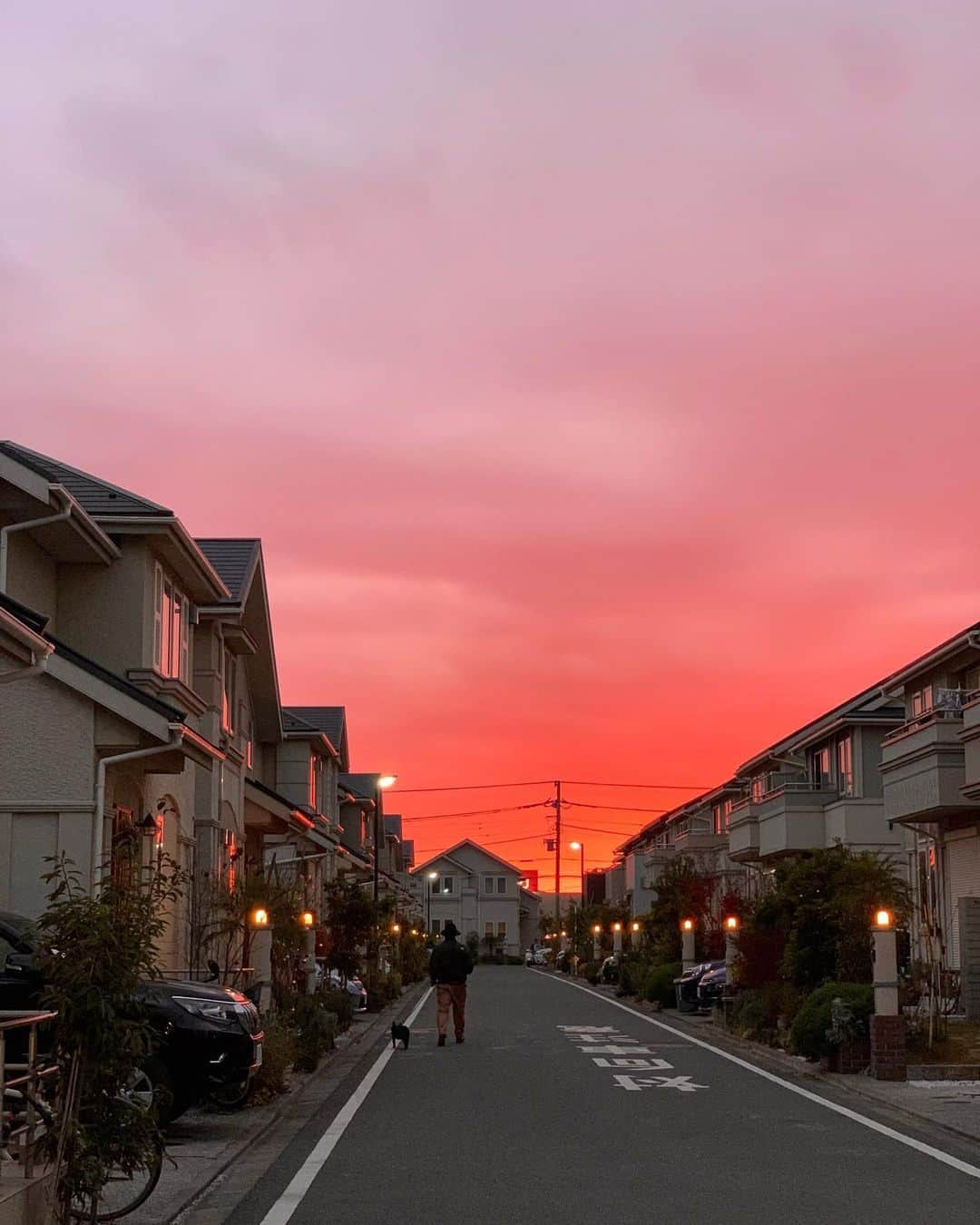 jyA-Me（ヤミー）のインスタグラム：「思わず夕陽を撮りたくなる瞬間🌅 周りを見渡すと、みんなスマホを構えてる。 毎日、毎週、毎年、 何度見たって、感動したり、癒されたり、 この瞬間を納めたくなる。 そのことの大切さとこの先の生き方に、 見渡した周りの人々の表情を見て、 写真を見返して、 改めて気付かされました☺️  世の中が、世界が変わり始めた2020年。  私は自分が思い描いていた年とはかなりかけ離れてしまったな…。先が見えないが故に、勉強の一年にしようと 割り切りとにかくin putの日々だった。 みんなと繋がれたOnline Liveが出来た事が 唯一嬉しい出来事でした。 参加してくれたみんな本当にありがとう💖  一年間ほぼワンオペでしんどかったけど、 正直もっと頑張れたし、もっと前に進めたと思う。 悔しい一年でした。 でも、このin putをout putに変換できる 2021年が今から楽しみでワクワクしております🔥🔥🔥  今年も私と繋がっていてくれてありがとう！ 来年もどうぞ、よろしくお願いします😌🙏🏽❤️  LOVE jyA-Me  #goodbye2020 #thankyouforall #jyamesky」