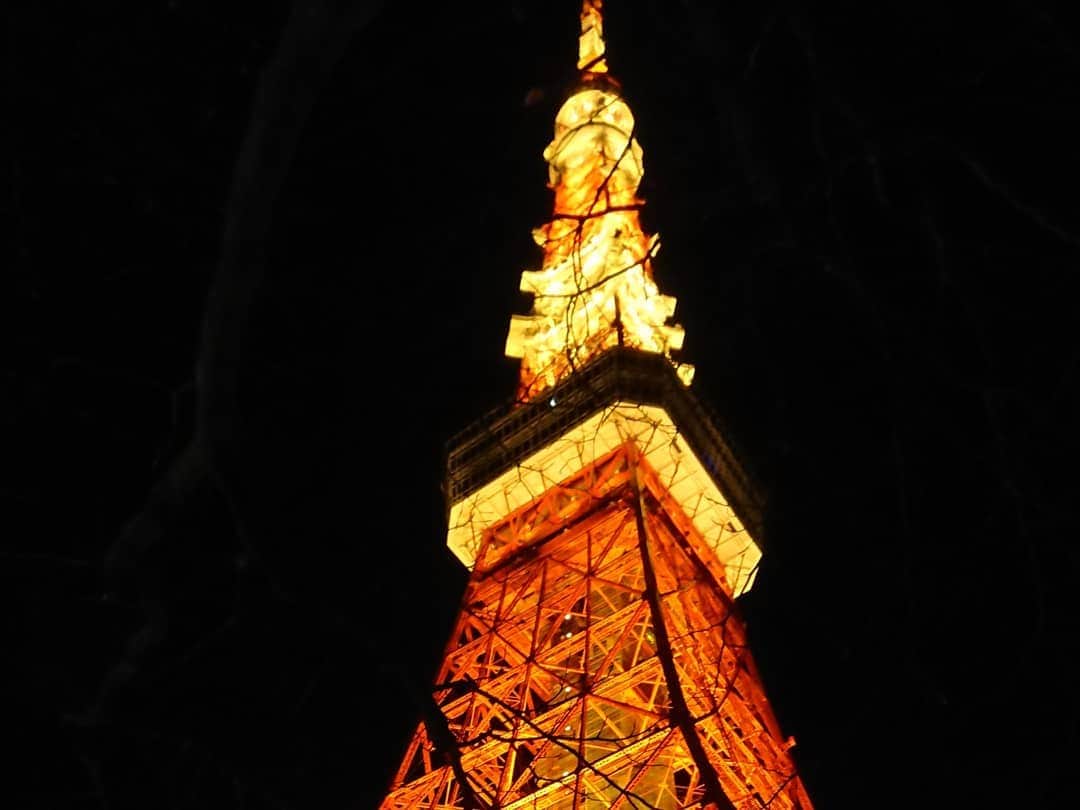 桜花さんのインスタグラム写真 - (桜花Instagram)「2020年も、ありがとうございました✨ 来年もよろしくお願いいたしマウンテン🗻🌷！  みなさまよいお年をお迎えください🍀 どうか新しい年が健康で 笑顔多き１年になりますように🍀  近くまで来たので東京タワーみてきタワー🗼   #よいお年を  #2020 #ありがとう  #年の瀬」12月31日 20時46分 - mountainohka