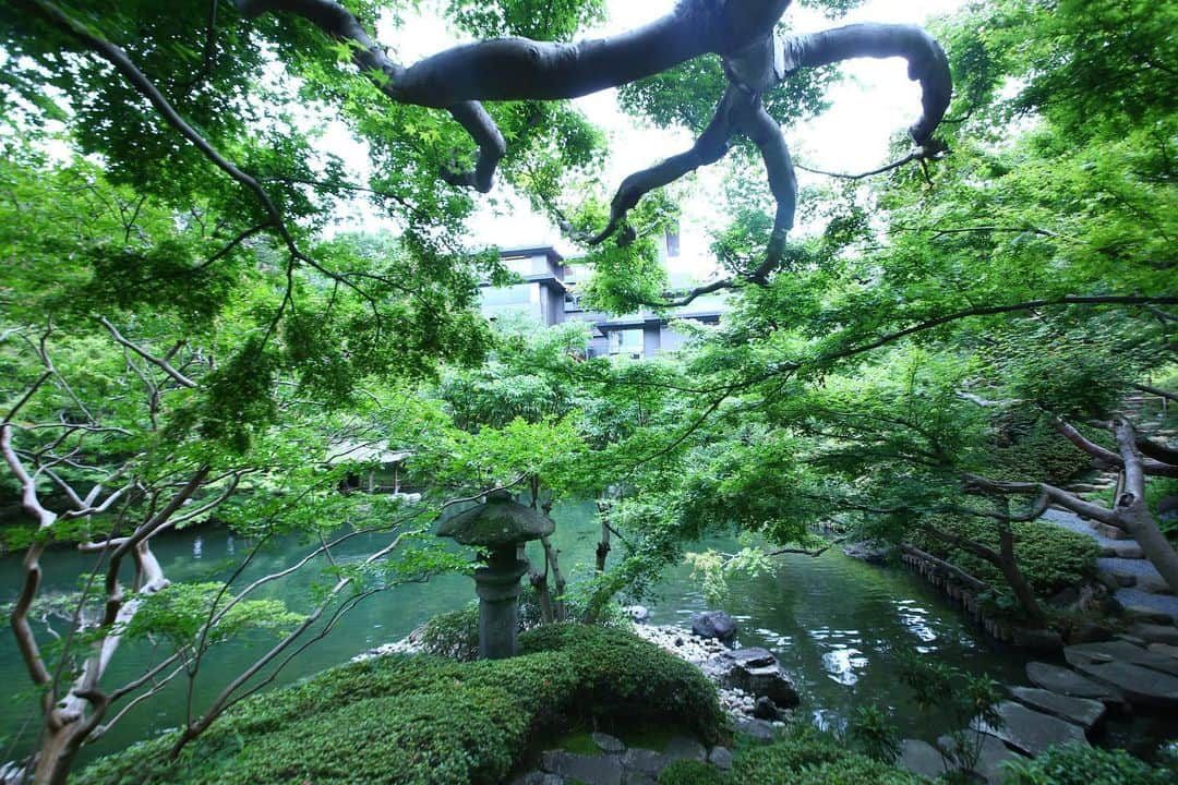 八芳園さんのインスタグラム写真 - (八芳園Instagram)「年の暮れ。 . 八芳園の正門には門松が飾られ、 新たな年を迎える準備を整えております。 . 外出の難しいこの状況のなか、 少しでも癒しを感じていただけるように 八芳園公式SNSでは 庭園の季節の移ろいをお届けしてまいりました。 . また、今年一年、 変わらぬご愛顧をくださる お客様ひとりひとりのお声と向き合い、 より安心安全に八芳園でお過ごしいただけるよう、 . そして、このような状況下だからこそ、 八芳園で過ごすひとときが 皆様にとって心に残るものとなっていただけるよう、 取り組んでまいりました。 . 2021年も、 在り続ける場所 安心できる心のふるさとであるように 努めてまいります。 . 来る年の皆さまの ご健勝とご多幸をお祈り申し上げます。 . . #八芳園 #結婚式場 #日本庭園 #季節　#四季 #自然 . #年末年始 #年末 #年の瀬 #2020 #2021 #お正月 #門松 #🎍 #門  #正月 #日本文化 . #東京観光  #東京カメラ部  #カメラ好きな人と繋がりたい  . #和装結婚式 #式場探し #プレ花嫁さんと繋がりたい . #japanesegarden  #tokyotrip  #forbestravelguide #japan_of_insta  #bestphoto_japan  #instravel  #team_jp_」12月31日 20時54分 - happoen