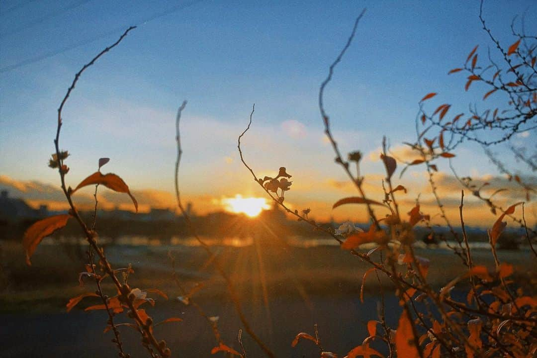 荒澤守さんのインスタグラム写真 - (荒澤守Instagram)「・ ・ 今年一年もありがとうございました。 未曾有の事態に見舞われた2020年。 2021年、まだまだやれる。 ・ 皆に幸あれ。 ・ 感謝 ・ #2020 → #2021」12月31日 20時57分 - mamoru_arasawa