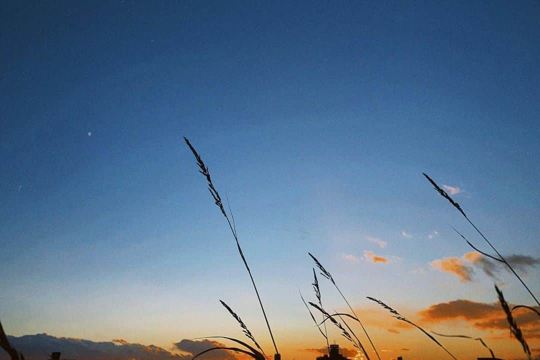 荒澤守のインスタグラム：「#写真 #最後　の　#夕焼け」