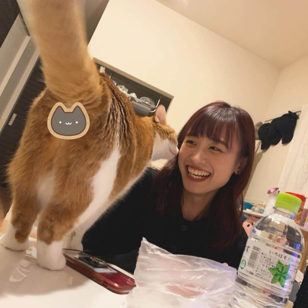 鈴木えりかのインスタグラム：「大晦日はお友達と会いました☺︎ 猫ちゃんが懐いてくれて嬉しかった🤣（笑） 2020年はなんだかんだで思い出がたくさん✌🏻 2021年もご飯たくさん食べてがんばろーっと🍚 猫ちゃんのおちりは女の子だから隠したよ😽🤍 みなさま、良いお年を〜〜！」