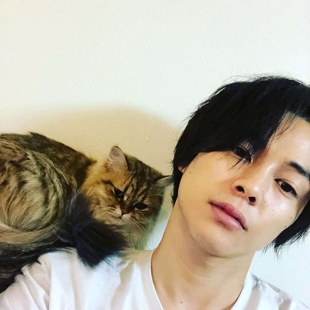 柾木玲弥さんのインスタグラム写真 - (柾木玲弥Instagram)「2020年もありがとうございました。 皆様言うと思いますが、本当に大変な年だったと思います。 と言えども、こうしてたくさんのお仕事をさせて頂くことが出来て、嬉しいですし、たくさんの方々に感謝致します。 来年もよろしくお願い致します。」12月31日 21時19分 - reiya_masaki