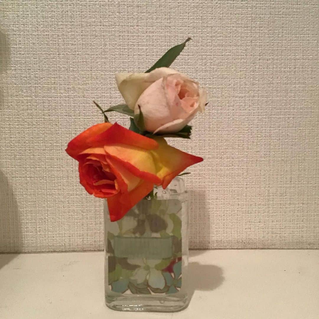 宮崎文子のインスタグラム：「2020@work  5月 コロナで地域のバラ園も閉鎖。悪くなっちゃいけないと剪定されたものをもらいました。 秋にはみんなに見てもらえたそう、よかった、、  6月 Youtube デビュー。 久しぶりに8分編集した。そして6月の羽田。 再開した空港✈️人がまったくいない空港、それでも動き始めた感を感じました  7月 羽田、天空橋に新しくできた施設で記念式典の司会。 新卒後に入社した会社の現場で先輩と元上司見守られながらやった現場。「宮﨑、上手くやってるね」って言われた思ひ出。  8月 ようやくいけたロケ@都内 夏休みの様子もいつもと様変わり。 子供たちの声がすごく響いた現場。」