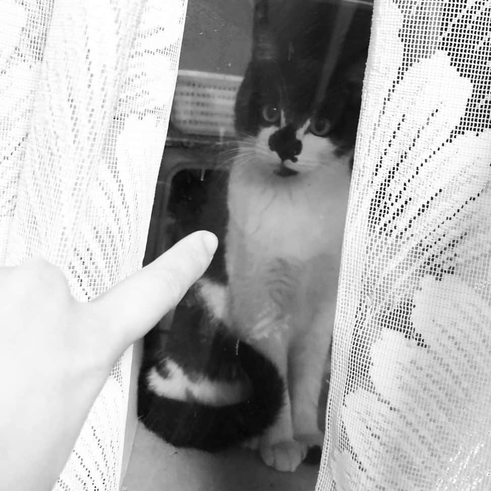 佐々木心音のインスタグラム