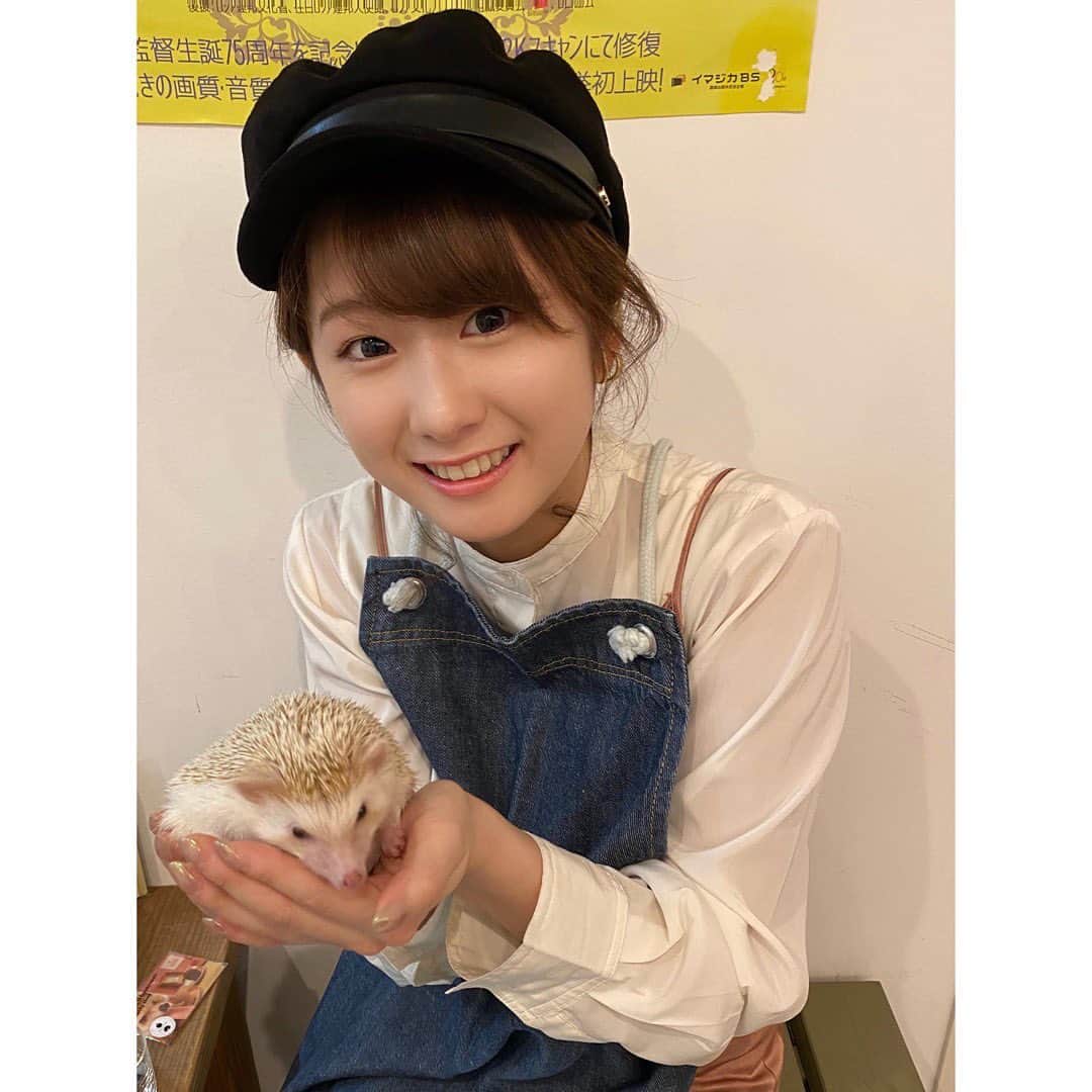 尾島早都樹のインスタグラム：「２０２０年🐭  我慢の多かった１年 大切なものを捨てなければいけなかった１年  コロナコロナの毎日で 思うような年にはなりませんでしたが、 こんな年だからこそ 身近なものの大切さに気づけた１年でもありました。  人との繋がり 伝える楽しさ 挑戦する勇気  何か少し強くなれた気がします。 みなさんも、負けないで、一緒にがんばりましょう！！！  新年早々、素敵なお知らせがあります。 みなさま良いお年を☺️🍀  . #チューリップテレビ #アナウンサー #女子アナ #尾島早都樹 #ねずみ年 #2020 #2020年 #ハリネズミ #コロナに負けるな」
