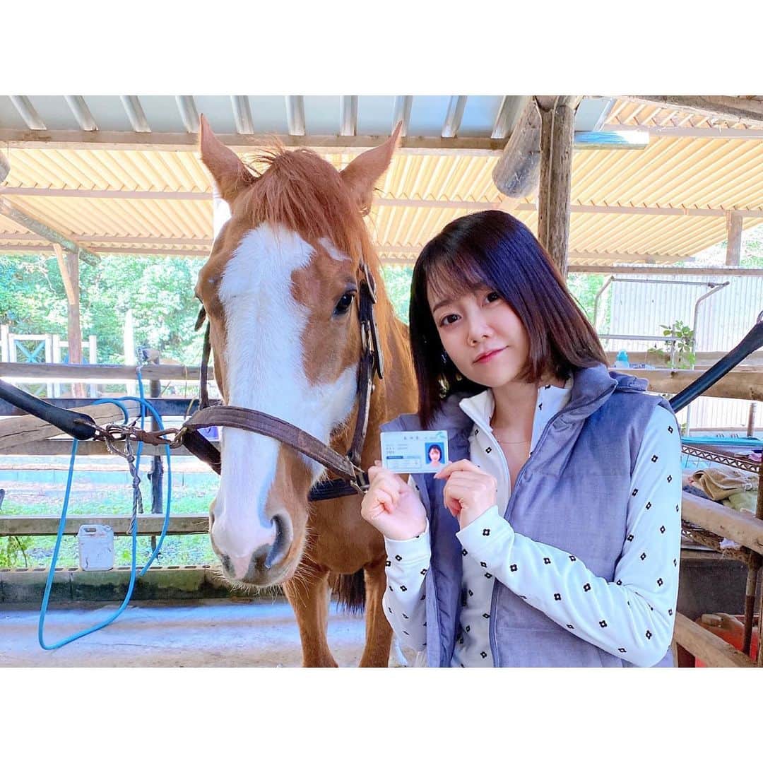 小川あゆ美のインスタグラム：「. 2020年も残りわずかですが、今年も皆様ありがとうございました。 今年はコロナで世界中が辛い年になったと思います。 その中で改めて大切なことに気付かされたり、また、新しい出逢いがあったり。  私は今年、乗馬に出逢って挑戦した1年でした🐴💞 DMでも質問があったんだけど、ちょうど誕生日後の夏からはじめました🐎✨  まだまだ本当にはじめたばかりだけど、来年も自然や動物たちに癒されながらまた色々と挑戦していきたいと思います(*´ᴗ`*)  来年も皆様にとっても素晴らしい一年になりますように。 たくさん笑って、温かい言葉で世界が包まれますように。 ありがとうございました！ 良いお年を〜*｡꙳ . Thank you everyone for this year!! . . . . . #乗馬 #馬 #2020年挑戦したこと #来年もよろしくお願いします  #horseriding #lovehorse #승마 #좋아요반사 #좋아요늘리기」