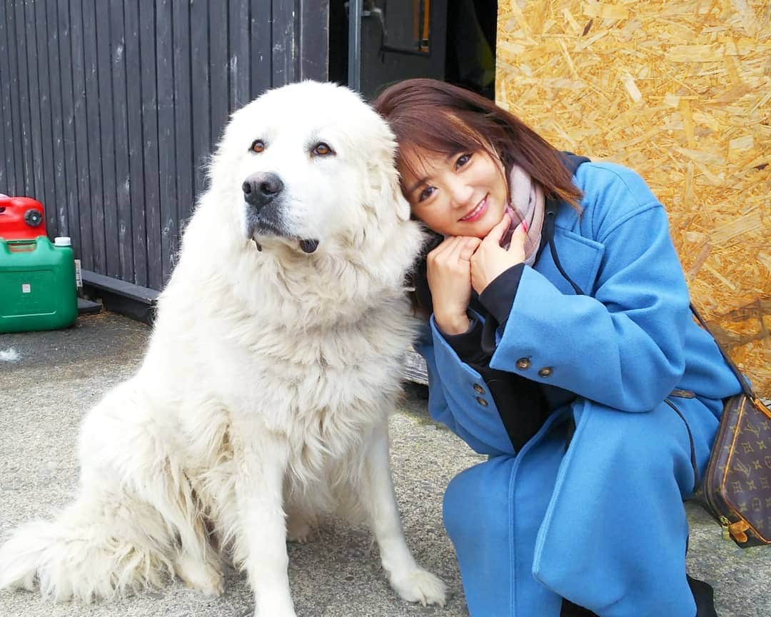 市川みかのインスタグラム