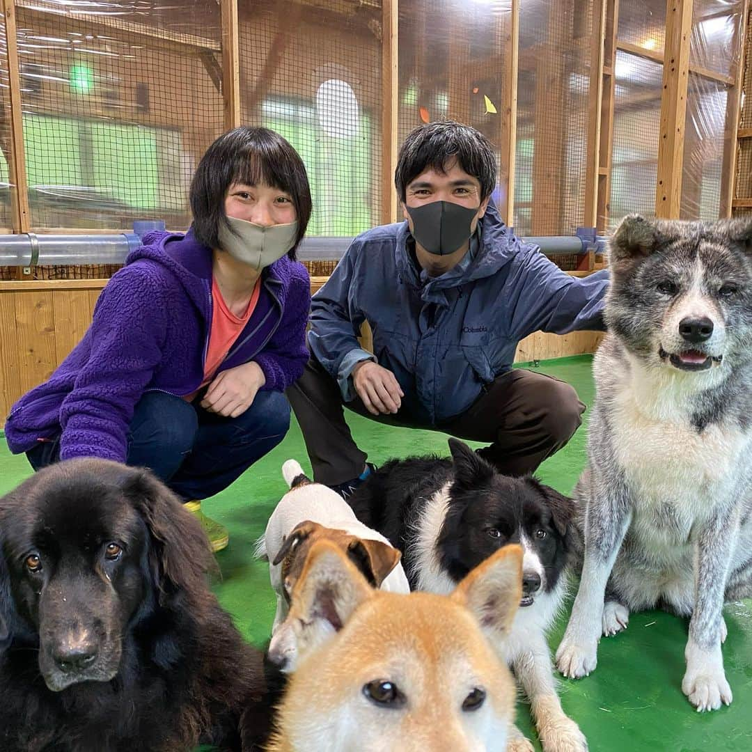 植田夢月さんのインスタグラム写真 - (植田夢月Instagram)「#2020年振り返り﻿ #長文だよ﻿ ﻿ 今年は、クライミングに関しては時が止まったような年になってしまいました。﻿ ﻿ でも、クライミングに時間が使えなかった分、やりたかったけどできてなかったことをしたり、新しい世界に足を踏み入れてみたりしました。自分のこれまでとこれからについて、ゆっくり思いを馳せることができました。﻿ ﻿ 目に見える成果はないけど、自分の考え方の幅が広がった一年だったように思います。﻿ ﻿ --------------------﻿ ﻿ この1年のクライミングを手短に振り返ります。﻿ ﻿ ■1〜3月﻿ ﻿ ヨセミテツアーで落ちたフィジカルを取り戻そうと、ボルダリングに力を入れてました。鹿児島県岸良のボルダリングイベントに出てみたり。ピラニアのボルダリングコンペにも出てみたり。﻿ ﻿ 春先は、城ヶ崎の「モンスターマン（初段）」にフォーカスしてたのですが、何日か通ってできそうな匂いがしてきたところで緊急事態宣言発出！ずーん。﻿ ﻿ ﻿ ■4〜6月﻿ ﻿ 4〜5月はジムにも行かず自粛。前からやりたかった中国語を始めました（HSK2級くらいのレベルになりました）。あと、大学以来の読書熱がやってきて、やたらと本読んでました。﻿ ﻿ 5月末に緊急事態宣言が解除され、やったーと思ったのも束の間、5/31にジムで左手中指を負傷！1ヶ月半まともに登れず。がーん。﻿ ﻿ ﻿ ■7〜9月﻿ ﻿ 7月下旬にもなると、指の怪我も治ってきて普通に登れるようになったのですが、7/31から入院、8/3に手術をしました。﻿ ﻿ 実は、5月下旬に、右耳のつけ根に耳下腺腫瘍が見つかり、その摘出手術を行いました。摘出後の生検の結果、悪性のものではないということが分かりほっとしました。﻿ ﻿ 耳下腺の近くには顔面神経が張り巡らされているため、顔面麻痺のリスクもある手術でしたが、幸い麻痺は起こりませんでした。その後の経過も順調です。よかった…。﻿ ﻿ 1週間の入院後、4週間は運動厳禁ということでおとなしくしてまして、9月に入ってからクライミング再開！ボルダーやクラックをしに行って少しずつ調子を上げていきました。﻿ ﻿ ﻿ ■10〜12月﻿ ﻿ で、調子も上がってきて、本格的にトレーニングも始めようというところで左肩を壊してしまいました。最初は肩関節唇損傷と診断されました。﻿ ﻿ これにはかなり落ち込みました。﻿ 今までクライミングしたいのにできないのを我慢してきて、ようやく思いっきりできるようになったと思ったのに…。﻿ ﻿ あれ登りたいこれ登りたいと思ってた秋シーズンは台無し。夏前から通って進めていた二子山西岳の開拓作業も中止。次のヨセミテに向けて考えていたトレーニングも一旦白紙。10月の九州ツアーの目標も見失い、長崎バイオパークに行けることが心の拠り所でした。﻿ ﻿ スポーツ整形に通ってリハビリをしていたのですが、肩の調子は一進一退で、いつ治るのか先が見えず。メンタル爆発しそうだったのでクライミングのことをあまり考えないようにしてました。夫にも迷惑かけました。﻿ ﻿ ここ最近になって、ようやく右上がりに回復している手応えがでてきているので、また悪化させないよう慎重にリハビリ頑張ります。﻿ ﻿ ﻿ ﻿ 本年お世話になった皆様、ありがとうございました。また来年も宜しくお願いいたします。﻿ ﻿ 来年はたくさんクライミングできますように🙏﻿ ﻿ ﻿ 1枚目: 2月の岸良ボルダリングイベント時の一枚。この「ハッキヨイ（二段）」がカッコよくて打ち込んだけど登れず。﻿その他、4級〜初段を登って楽しみました。 ﻿ 2枚目: イベント翌日も岸良でセッション。この「プリニー（1級）」も登れなかった。﻿ ﻿ 3枚目: 城ヶ崎の「モンスターマン（初段）」で一番惜しかったトライ。核心超えた！きた！と思ったのに次の手の距離を見誤って落ちました😭﻿ ﻿ 4枚目: 杉本怜くん主催のチャリティトークショーに出させてもらいました。駆け足でしたが、エルキャプ挑戦の軌跡を（ほとんど夫が）話しました。﻿ ﻿ 5枚目: 手術明けに連れてってもらったIZOO。メガネカイマンの赤ちゃんを触って大興奮の私。超楽しかった。﻿ ﻿ 6枚目: 9月にクライミング復帰して3回目の小川山の時のビデオ。「石の魂（1級）」にトライして、毎回徐々に高度が上がって喜んでいたのですが、肩の怪我で嗚呼さようなら…。﻿ ﻿ 7枚目: 10月の九州ツアーで登れて嬉しかった「ジンフルエンザ（2級）」。ラッキーなことに、左腕にあまり体重かけないムーブで登れる課題でした。﻿ ﻿ 8枚目: リスザルにたかられて幸せだった長崎バイオパーク。お客さんと動物との隔たりがない展示が多くて衝撃でした。﻿ ﻿ 9枚目: 長崎バイオパークのPAW。めちゃめちゃ満足度高い。﻿ ﻿ 10枚目: 12月の二子山西岳の公開イベント時の一枚。エアウェイを登るのは宮下くん。」12月31日 22時27分 - dream_moco