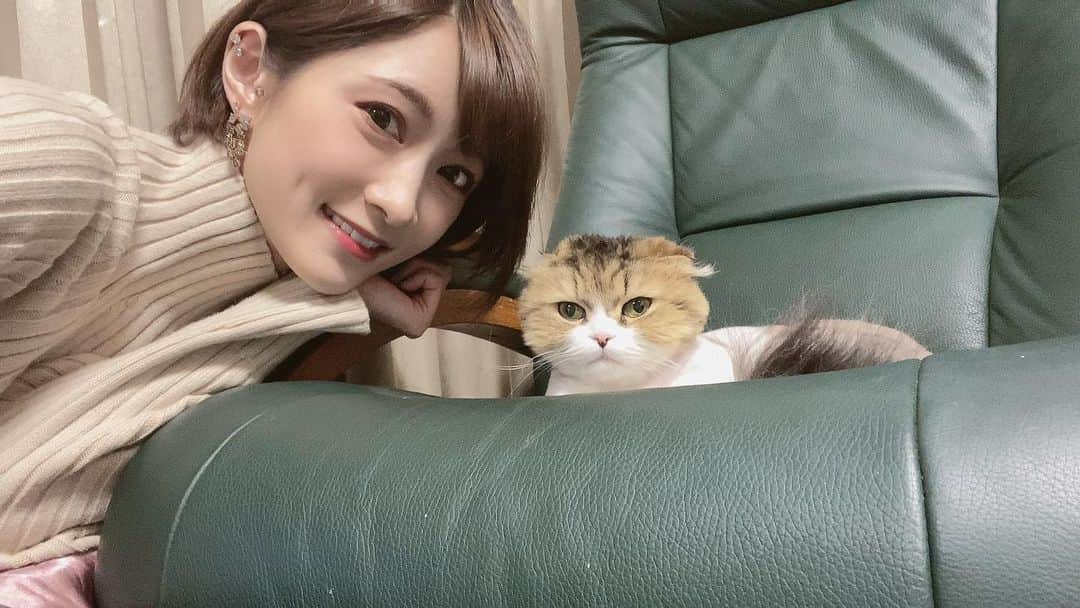 AYASAさんのインスタグラム写真 - (AYASAInstagram)「🐱🐱 2020年も残りあと僅か✨ 今年は出来なかったことも多く寂しさや悔しさも沢山感じましたが、その代わりに新しく挑戦できたことも多かったし、今までの"日常"というものの尊さに改めて気づくことができた一年でした。 この気づきや一つ一つのご縁を大切に、来年も私らしく、マイペースかつ全力で(笑)精進していきたいと思います！！  2020年ありがとうございました✨ よいお年をです💕 ・ ・ #2020年  #今年もお世話になりました  #来年もよろしくお願いします」12月31日 22時38分 - ayasa_doya