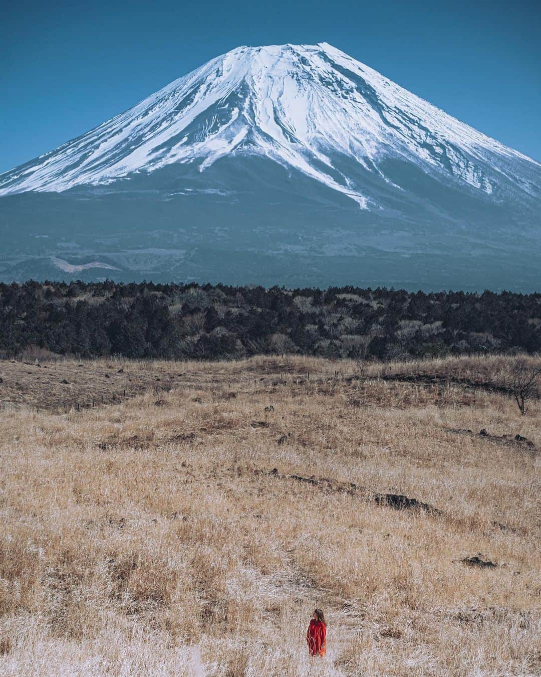 wacameraのインスタグラム：「Goodbye 2020 Japan will reach 2021 in one hour.  I hope you all have a healthy and enjoyable time in 2021. Love you all!!  Keiko ------------- この2020年と言う年をいつか笑って話すために、2021年を新たな気持ちで迎えようと思います。Instagramも10年をこえ、たくさんの方と長いおつきあいになっていますが、変わらず見てくださる皆様に感謝を込めて。ありがとうございます。どうか健やかで穏やかな新年をお迎えください。  Keiko」