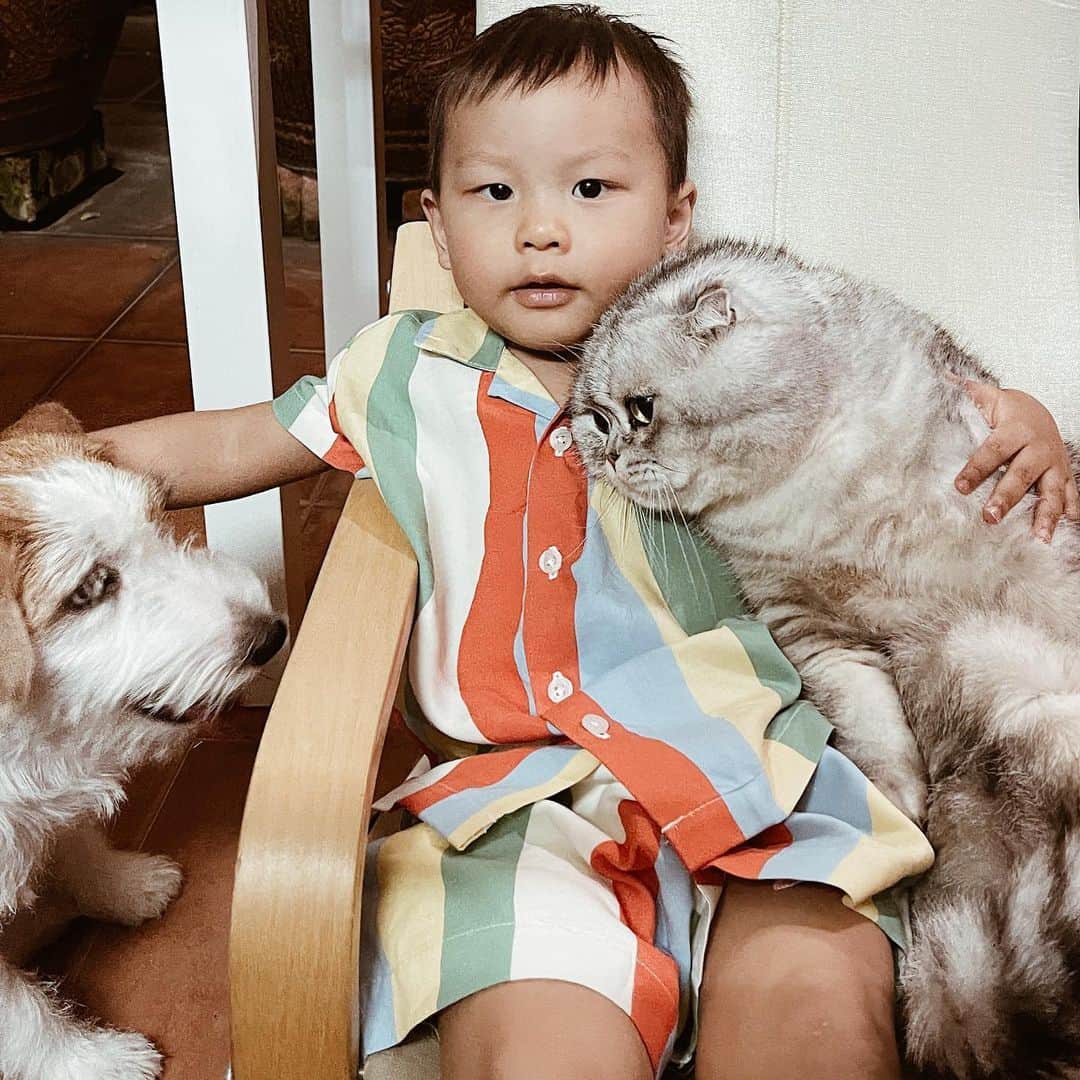 Roku Rokuさんのインスタグラム写真 - (Roku RokuInstagram)「Me and my fam here. Wishing you all a wonderful new year. Stay safe everyone ❤️ @beginningofariver」12月31日 23時03分 - rokuthecat