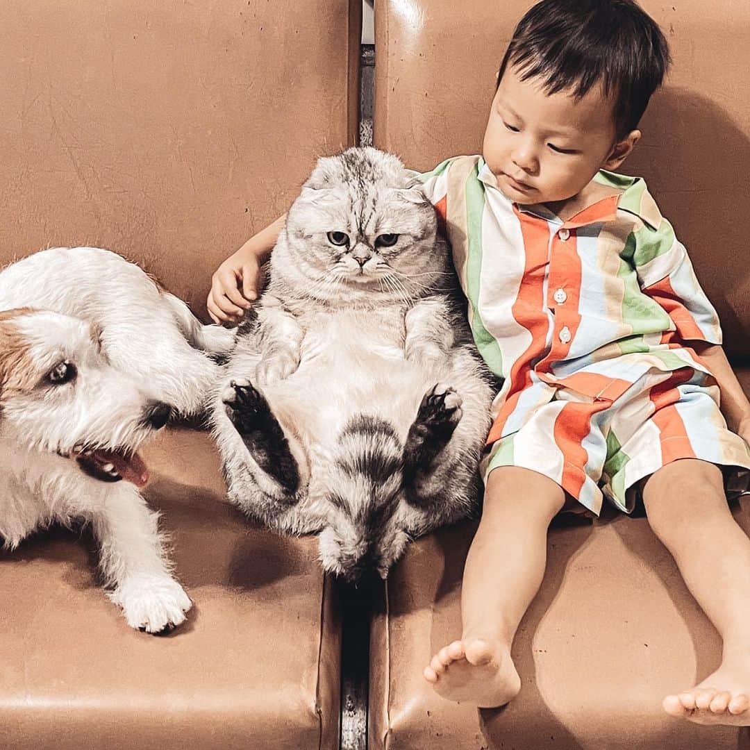Roku Rokuさんのインスタグラム写真 - (Roku RokuInstagram)「Me and my fam here. Wishing you all a wonderful new year. Stay safe everyone ❤️ @beginningofariver」12月31日 23時03分 - rokuthecat