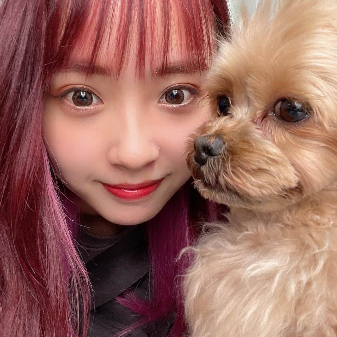 加藤愛永のインスタグラム