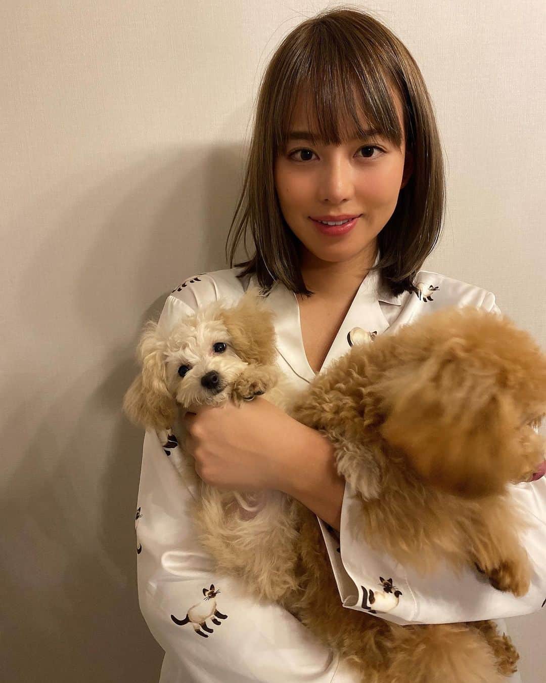 原田怜奈のインスタグラム：「髪の毛を15cm切った報告と 2020最後に マロンモカと撮りたくて お姉ちゃんに撮ってもらったら こうなりました🤣 来年もマロンモカを 宜しくお願いします😚 . . . . #愛犬　#トイプードル」