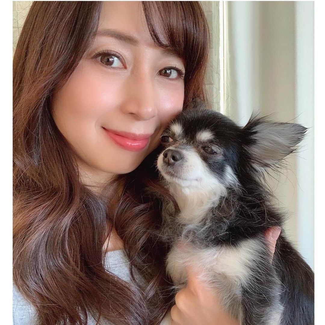 中野公美子さんのインスタグラム写真 - (中野公美子Instagram)「2020年もありがとうございました✨  今年は、20年一緒だった愛するオリオンがお星様になったり、 世の中も大変だったり、色々ありました。 そんな時でも、 いつも周りの方々にとても助けて頂きました！ SNSに皆様からのコメントも心温まります。 本当に皆様に心から感謝です🙏✨ 私も恩返しが出来ますように！  皆様、良いお年をお迎えくださいね✨  2021年もよろしくお願い致します！  2枚目は、2年前のオリオンとルーナと一緒の💕  #大晦日 #皆様に感謝 #良いお年を」12月31日 23時24分 - kumikorion