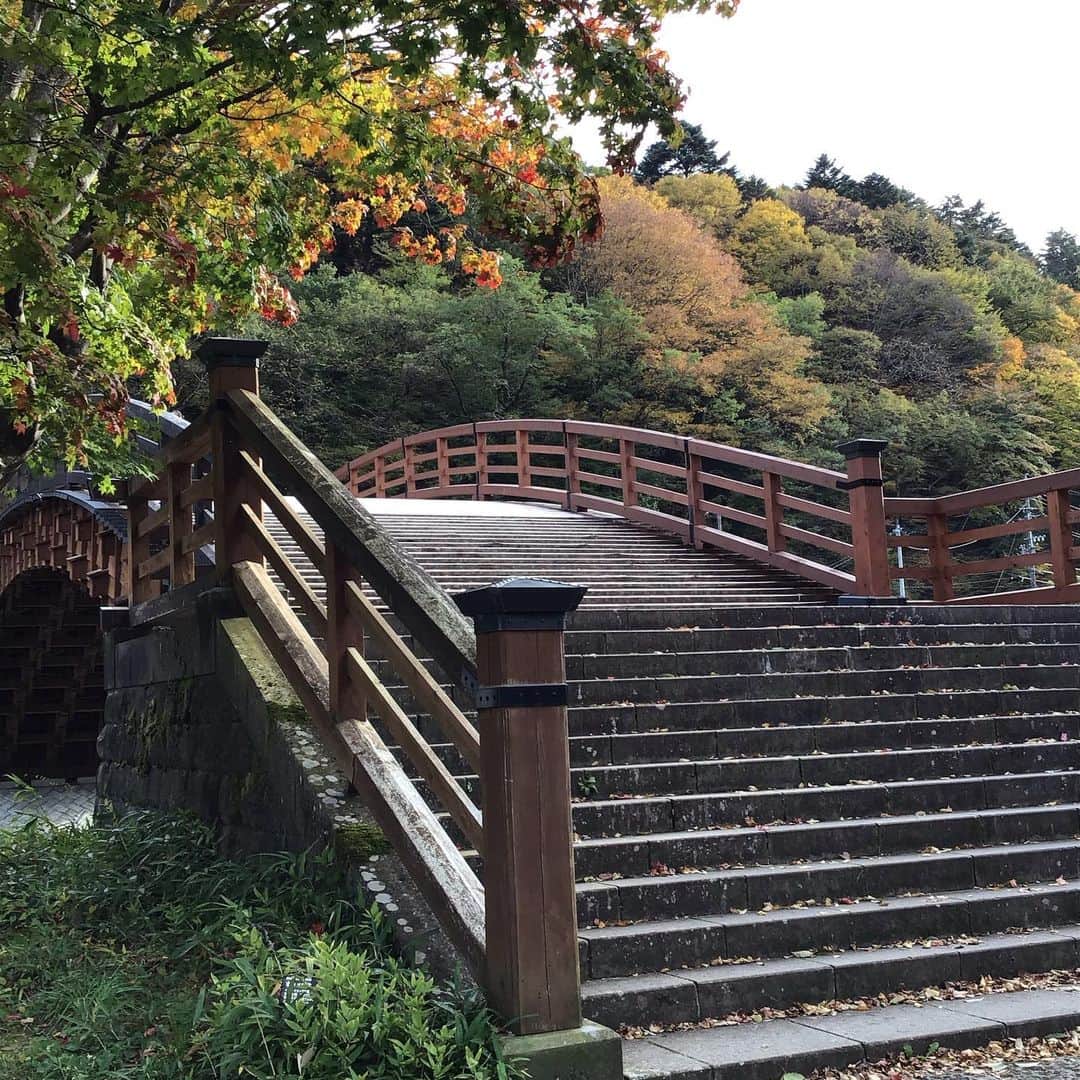 宮崎文子さんのインスタグラム写真 - (宮崎文子Instagram)「2020@challenge  「鍛錬だね」  信濃のワイナリーの副社長さん言葉  ぶどう作りは鍛錬だそうです。  ずっと書けなかったんですが、 2020今年一大チャレンジがミスコンに参加することでした。  WESTも取得し コンテストのセミナーで 日本ワインの勉強ができました。  いい経験でした🍇」12月31日 23時28分 - fumiko.miyazaki29