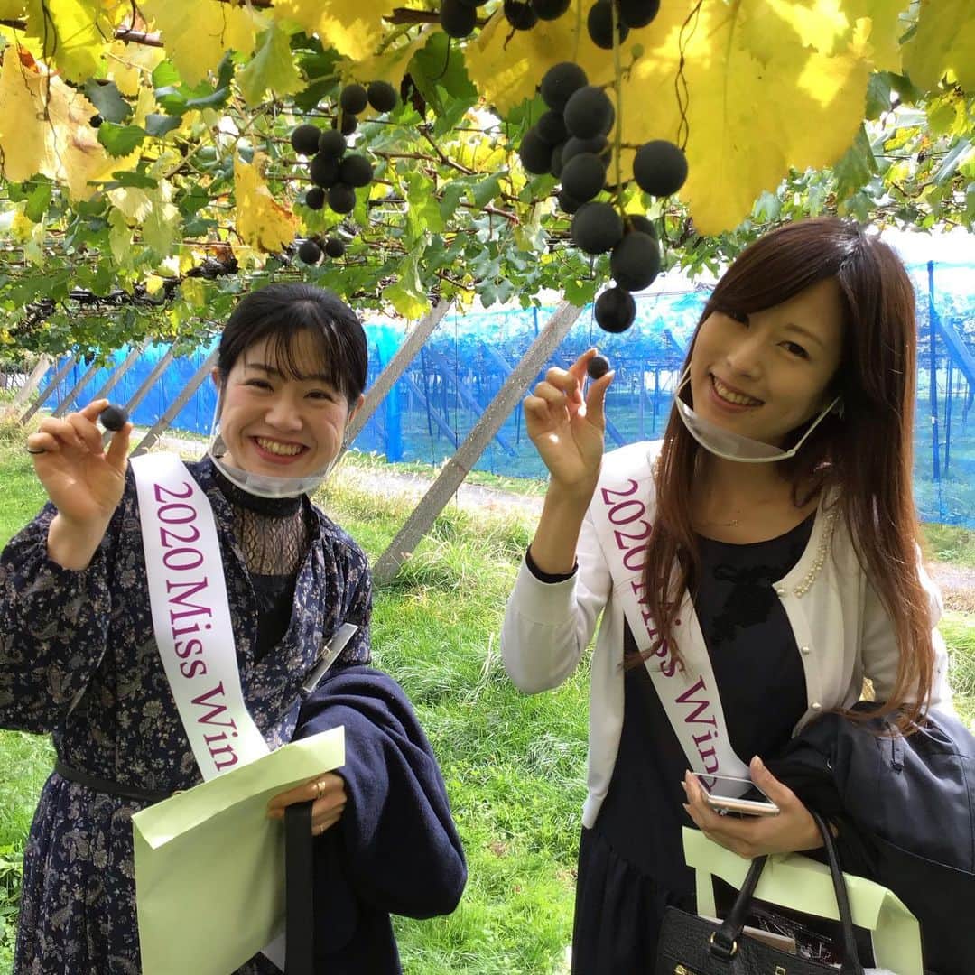 宮崎文子さんのインスタグラム写真 - (宮崎文子Instagram)「2020@challenge  「鍛錬だね」  信濃のワイナリーの副社長さん言葉  ぶどう作りは鍛錬だそうです。  ずっと書けなかったんですが、 2020今年一大チャレンジがミスコンに参加することでした。  WESTも取得し コンテストのセミナーで 日本ワインの勉強ができました。  いい経験でした🍇」12月31日 23時28分 - fumiko.miyazaki29
