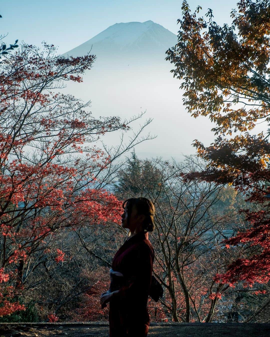 shabonのインスタグラム：「* . . . . . Happy New Year  2021. . 今年もよろしくお願いします☺︎︎ . . FUJIFILM X-T4 /  XF16-55mm F2.8 R LM WR . . . . . *  #igersjp #tokyocameraclub  #東京カメラ部 #photo_shorttrip #team_jp_ #GPW_members_only #genic_mag #as_archive #worldviewmag #lovers_nippon_portrait  #art_of_japan_ #daily_photo_jpn #jp_mood #ファインダー越しの私の世界 #japan_daytime_view #dreamermagazine #xt4 #fujifilm_xseries #fujifilmxt4 #artofvisuals #1x #moodygrams #hellofrom #超えるぞ2021 #今日もx日和 #ギャラリームジン  #HappyNewYear #富士山」
