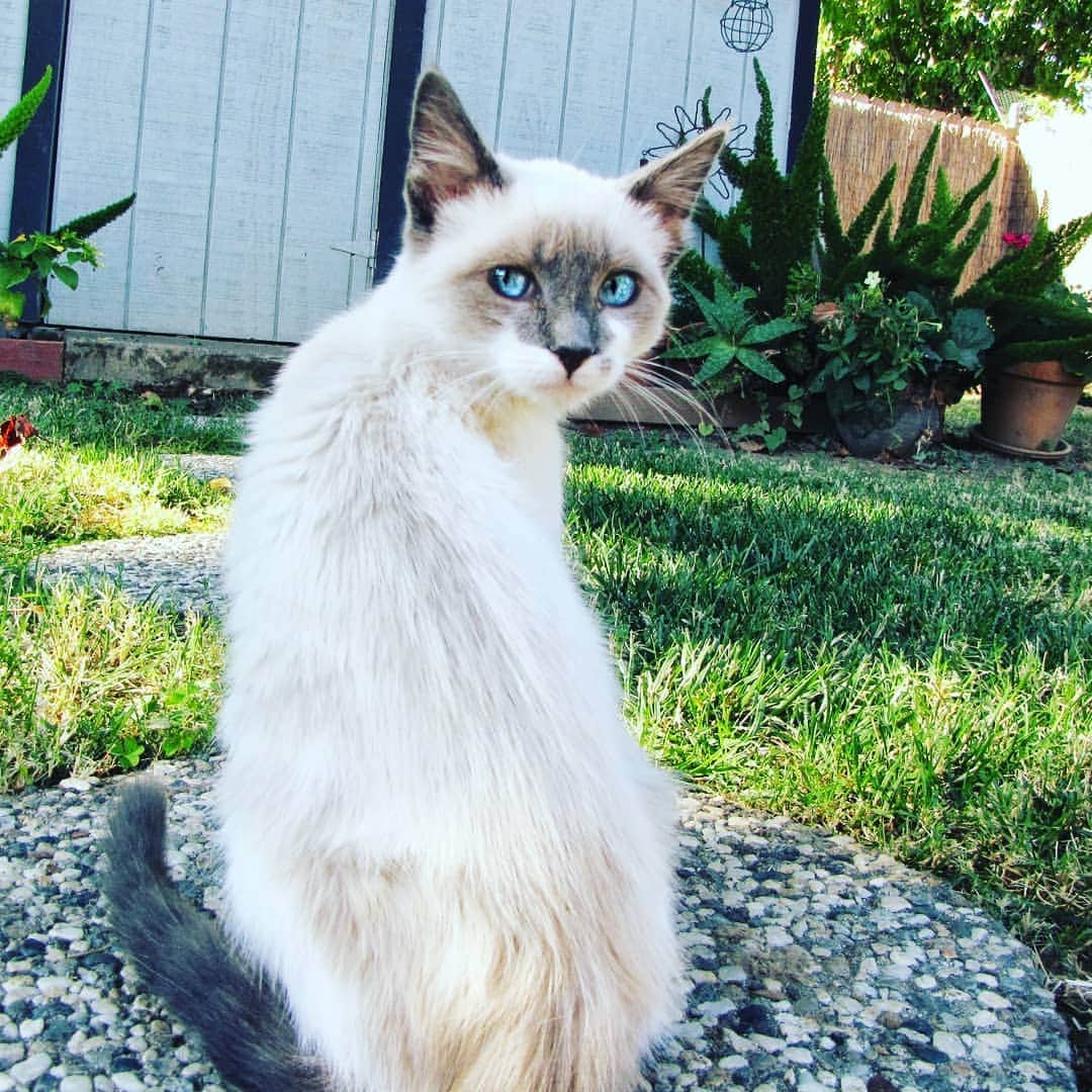 Garyのインスタグラム：「Bye, bitch  #happyfuckingnewyear #babymargo」
