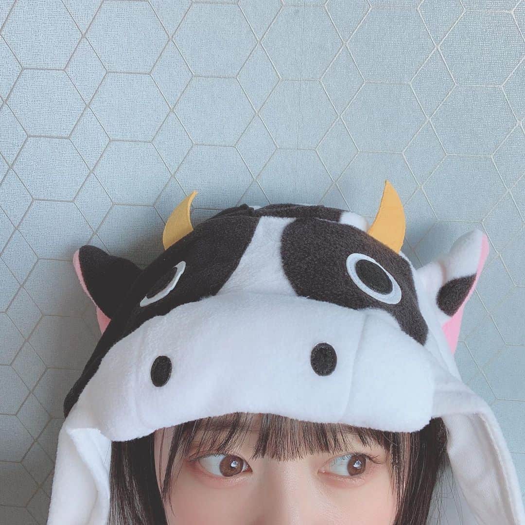 上島楓のインスタグラム：「. . あけましておめでとうございます  2021年スタート 今年も1年よろしくお願いします  今日からまたがんばるモー🐮。 . . .  #新年 #2021」