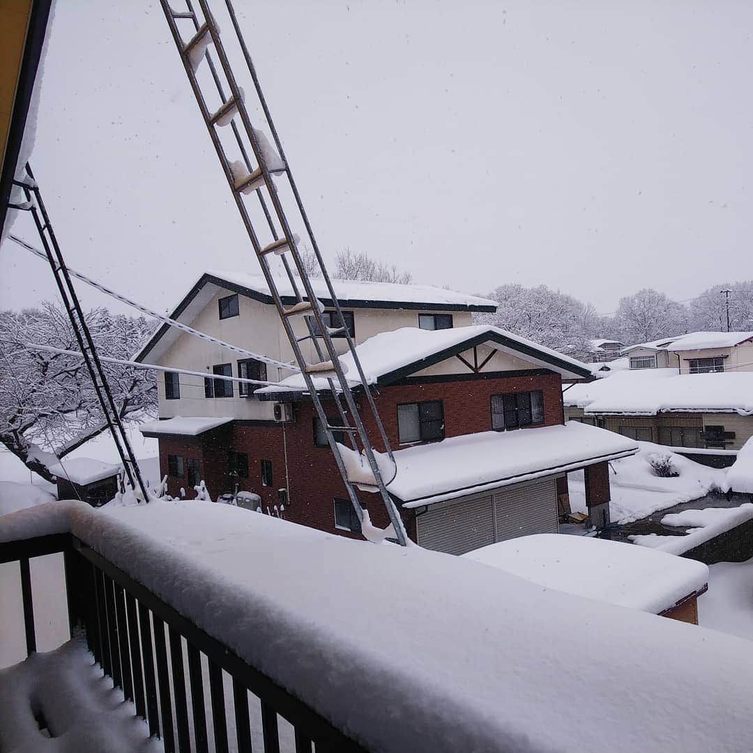 みながわゆみさんのインスタグラム写真 - (みながわゆみInstagram)「#おはようございます #今日も素敵な一日を #仕事頑張ろう #いまそら #イマソラ #ゆき #雪 #雪降り #雪景色 #雪国」1月1日 9時10分 - nama.09.19