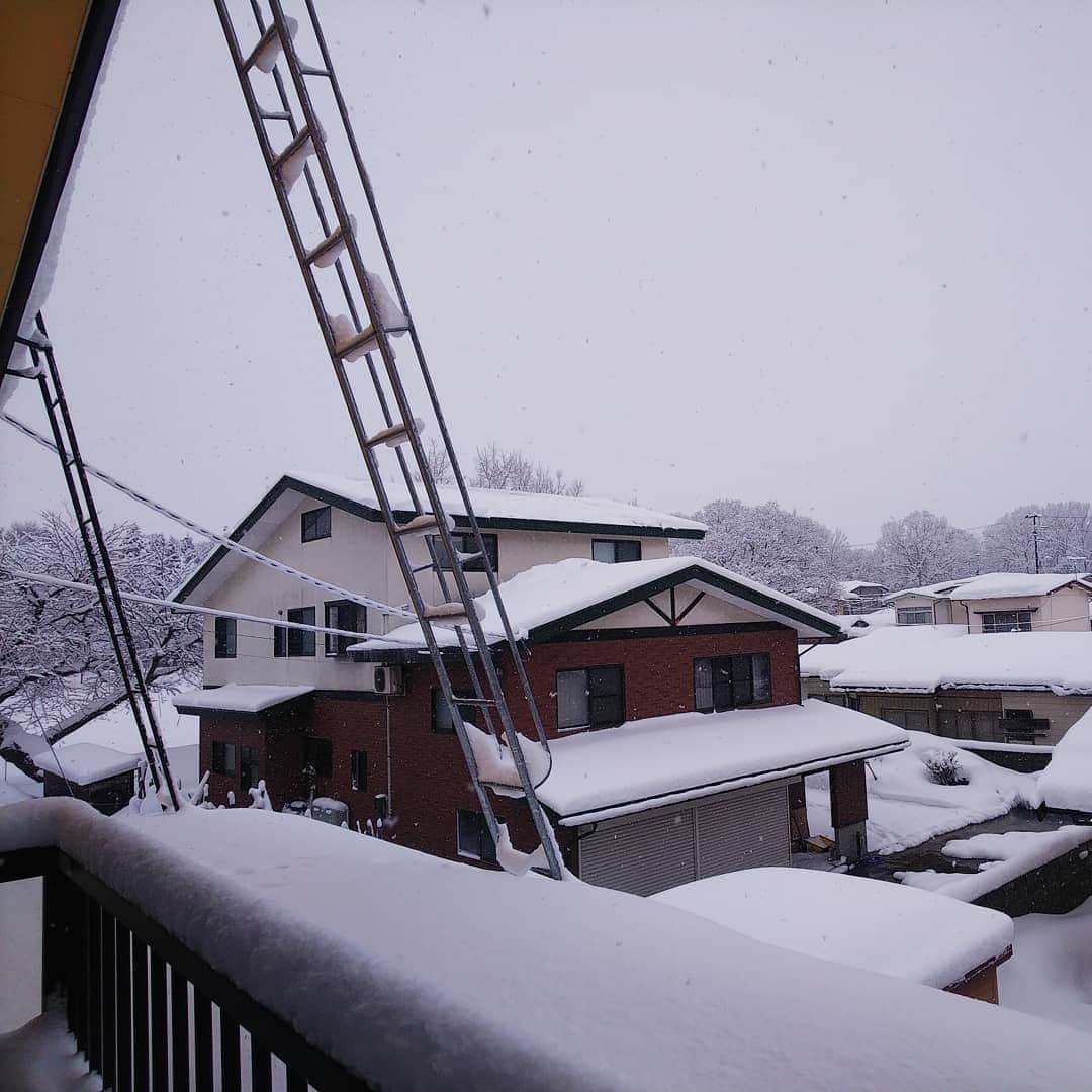 みながわゆみさんのインスタグラム写真 - (みながわゆみInstagram)「#おはようございます #今日も素敵な一日を #仕事頑張ろう #いまそら #イマソラ #ゆき #雪 #雪降り #雪景色 #雪国」1月1日 9時10分 - nama.09.19