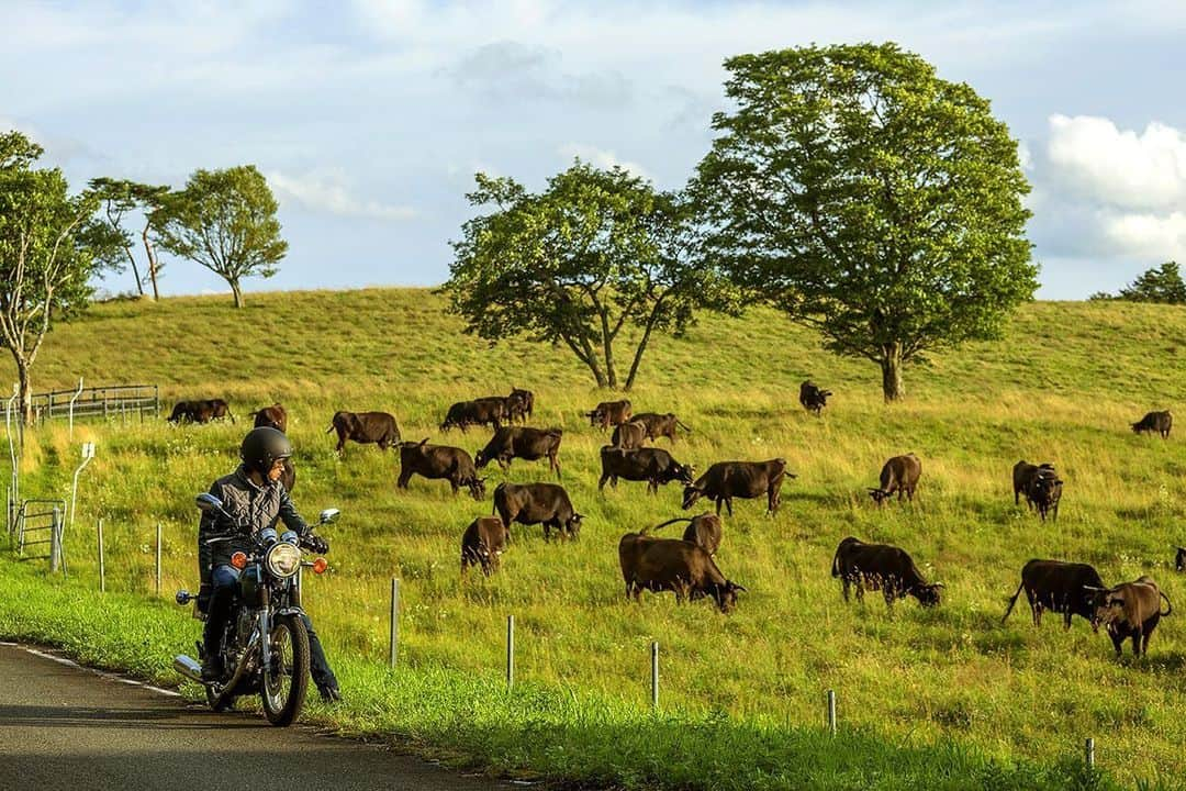 ヤマハ バイクさんのインスタグラム写真 - (ヤマハ バイクInstagram)「✨Happy New Year 2021✨ 🌅🎍あけましておめでとうございます🎍🐮  皆様にとってこの一年が素晴らしいものとなりますように。 今年もどうぞよろしくお願いいたします😆  #YAMAHAが美しい #あけましておめでとうございます #今年もよろしくお願いいたします #happynewyear2021 #謹賀新年 #今年は丑年 #SR400 #yamahasr400 #yamahamotorcycles #バイクのある風景 #バイクのある景色 #バイクのある人生 #走り初め」1月1日 9時22分 - yamaha_bike