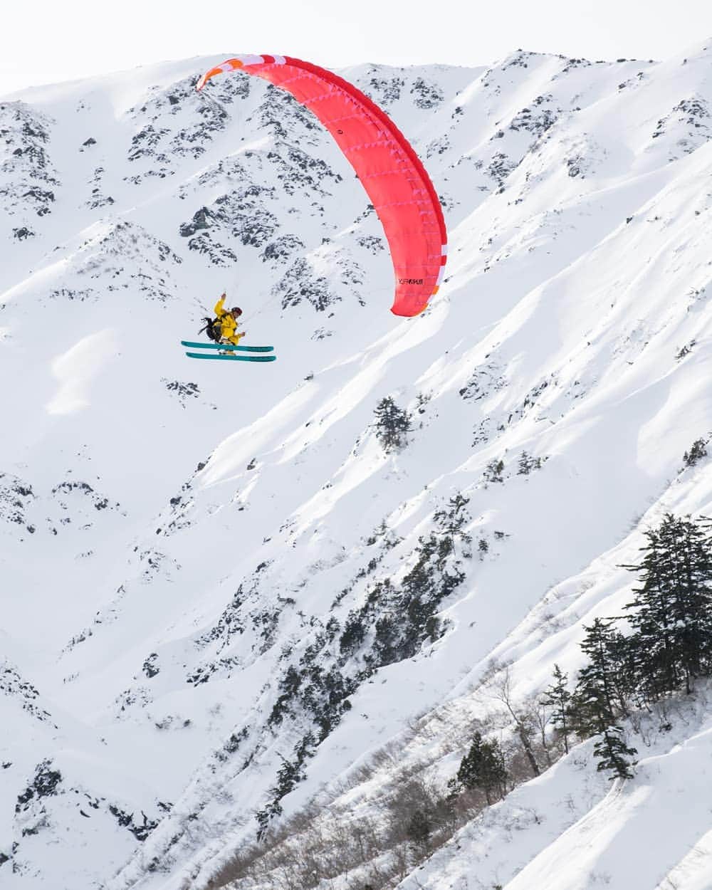 江本悠滋のインスタグラム：「白馬の山の遊び方は無限大✨🙂  #paraglider #paragliding #paraglidingworld #hikeandfly #fly #adventure #flying #travel #mountain #snow #ski #skiing #alpine #running #trailrunning #thenorthface #k2skis #sweetprotection #sweetprotectionjapan #toko #swix #hakubavalley #hakuba #nagano #backcountry #powder #japow  #登山」