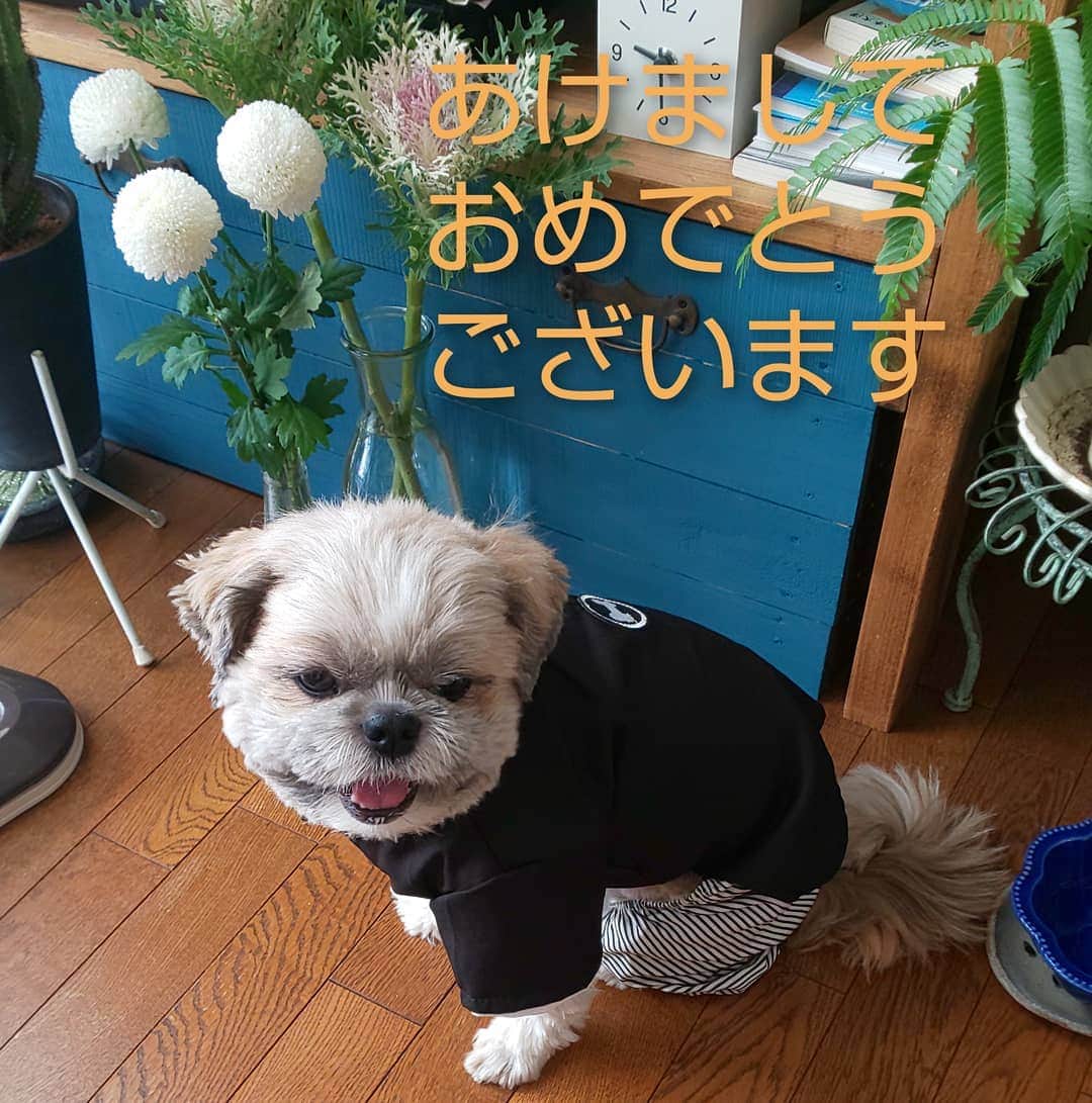 タンゲクンのインスタグラム：「今年もよろしくおねがいします 🆕🌄  えつこミュウゼ 旬太郎」