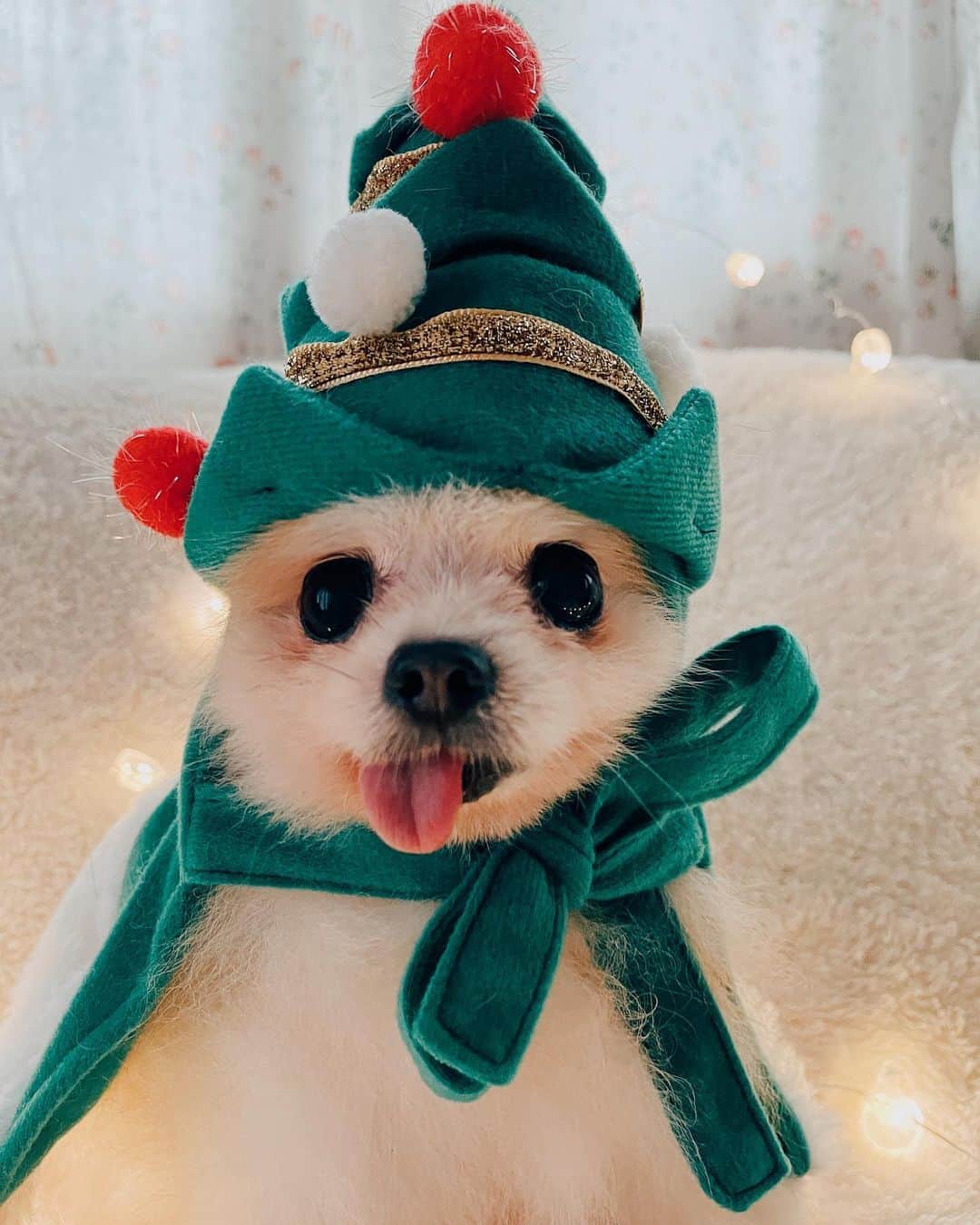 r_oseのインスタグラム：「Happy New Year 2021 🐰〰️」