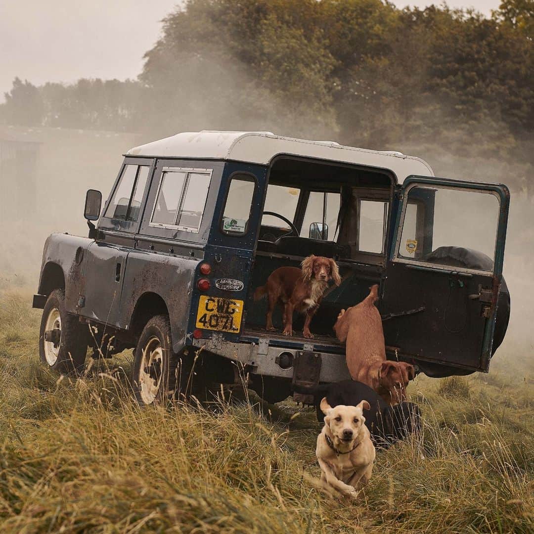 Barbour Japanのインスタグラム：「明けましておめでとうございます。  いつもバブアーをご愛顧いただき誠にありがとうございます。 本年もよろしくお願い致します。   バブアーオンラインストアではWINTER SALEを開催しております。 バブアー各店のSALE情報についてはオンライン"information"ページよりご覧ください。  #BarbourWayOfLife」