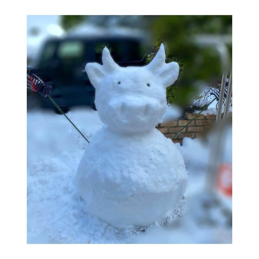 YURINAさんのインスタグラム写真 - (YURINAInstagram)「・﻿ ☃️❄️🐮🤘🏼﻿ ﻿ 📸 #ガチで雪だるまを作ってみた﻿ ﻿ ﻿ ﻿ 新年あけましておめでとうございます🌅🎍﻿ ﻿ ﻿ ﻿ 大晦日に運動がてらに雪だるまづくり。﻿ ﻿ ﻿ ﻿ 今年は丑年ということで﻿ 牛の雪だるまを1人でガチで作りました☃️🐮﻿ (※製作時間1時間程)﻿ ﻿ ﻿ ﻿ 無我夢中で作ってたら盗撮されていました🙃﻿ ﻿ ﻿ ﻿ ﻿ ﻿ 皆様今年も宜しくお願い致します🙏🏻﻿ ﻿ ﻿ ﻿ ﻿ #baseball #プロ野球 #ORIX #Buffaloes #BsGirls﻿ #京セラドーム大阪 #ほっともっとフィールド神戸 ﻿ #yurina_359  #BsGirls2020 #performer﻿ #dance #全力パフォーマンス #フォロー﻿ #高身長女子 #筋トレ女子 #腹筋女子﻿ #トレーニング女子 #ボディメイク ﻿ #野球好きと繋がりたい #オリ姫﻿ #大晦日 #年越し #ありがとう2020﻿ #雪だるまづくり #雪だるま #丑年 #牛﻿ #バファローズイヤー #雪国あるある﻿」1月1日 10時00分 - yurina_bsgirls_359