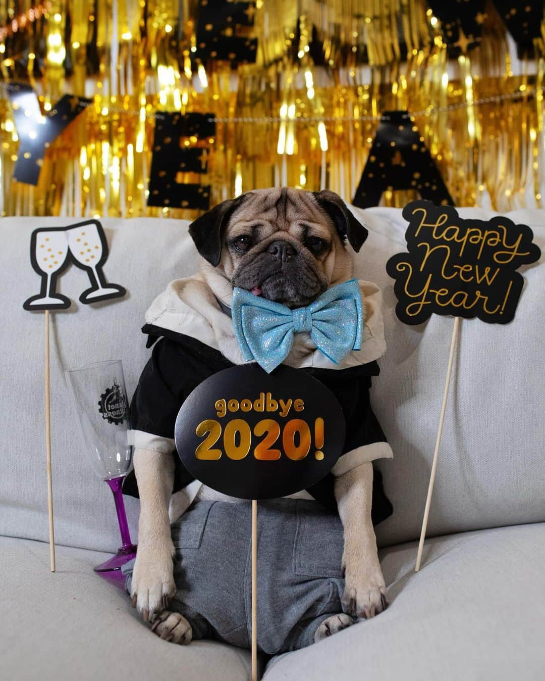 itsdougthepugさんのインスタグラム写真 - (itsdougthepugInstagram)「“Party on my couch” -Doug • PUGGY NEW YEAR!!!」1月1日 10時07分 - itsdougthepug