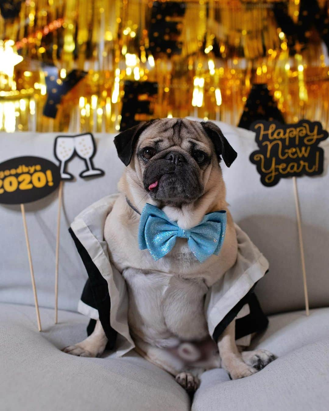 itsdougthepugさんのインスタグラム写真 - (itsdougthepugInstagram)「“Party on my couch” -Doug • PUGGY NEW YEAR!!!」1月1日 10時07分 - itsdougthepug