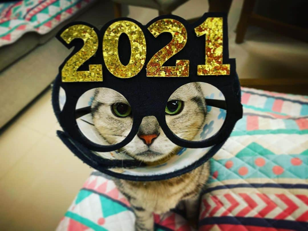 パフ・クオさんのインスタグラム写真 - (パフ・クオInstagram)「Happy new year 🎊」1月1日 1時30分 - aohsuehfu