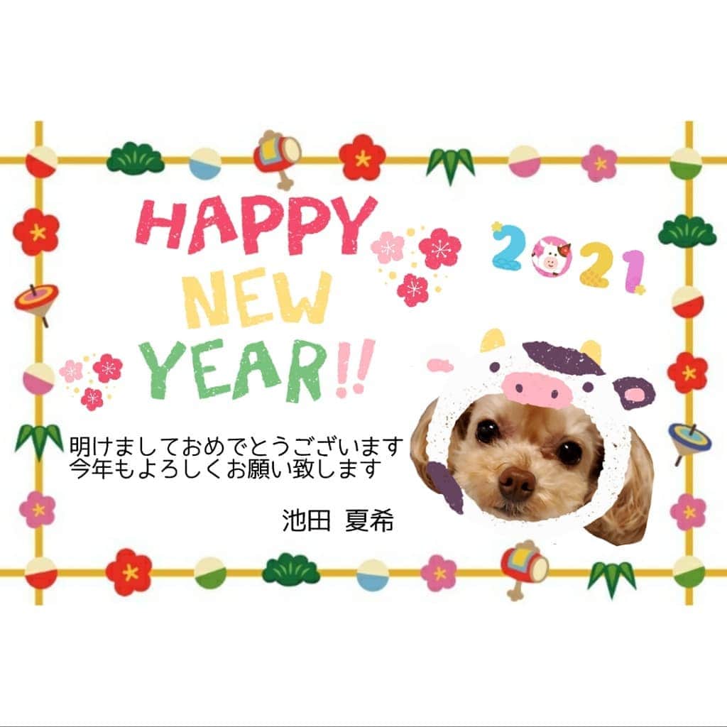 のインスタグラム：「皆さんにとって、2021年が素敵な年になりますように…🎍💕✨✨✨ . . #2021年 #元旦 #謹賀新年 #お正月 #丑年 #明けましておめでとうございます #今年もよろしくお願い致します #2021 #newyear #ahappynewyear」