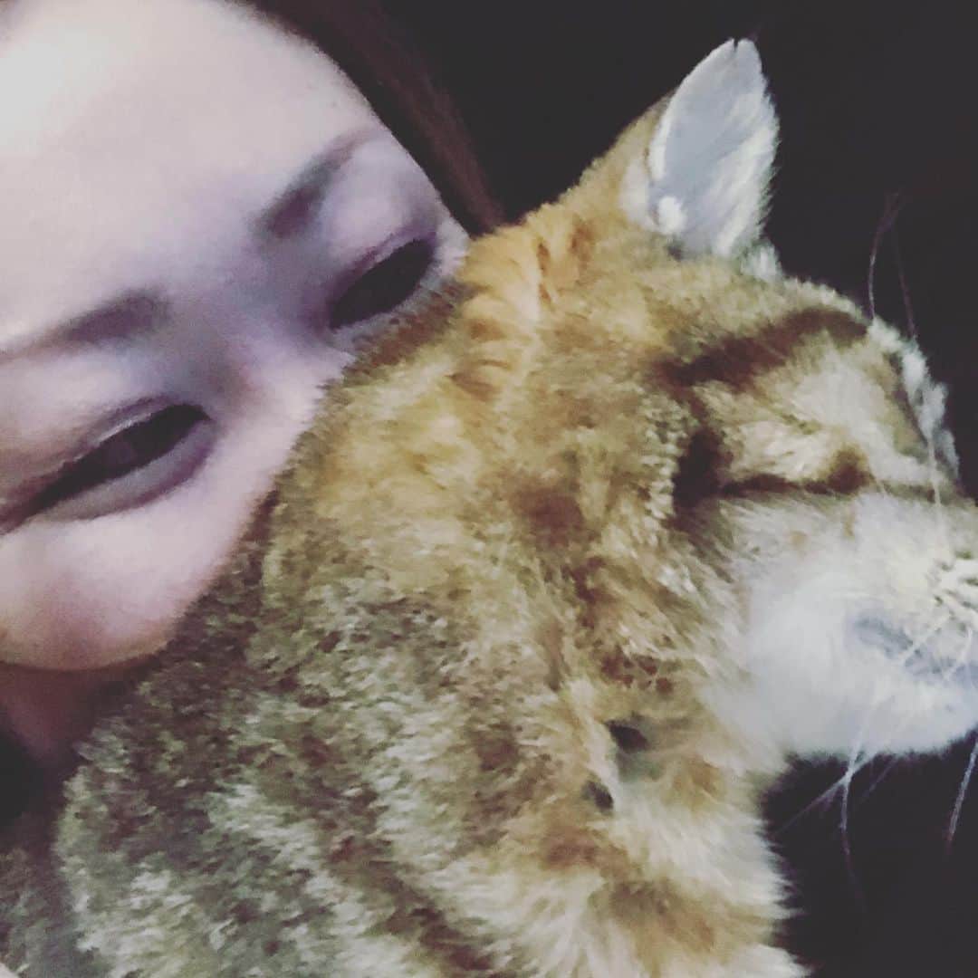 有奈めぐみのインスタグラム：「あけましておめでとうございます。 今年もよろしくお願いします。  徹くんは今年で19歳ですね〜今年も、来年も隣に元気でいてね♡  去年は世界が変わってしまったような事も多かったですね。  関わって下さった皆様、これからも、愛してる♡ #av #風俗嬢 #熟女 #年始のご挨拶  #愛してる」