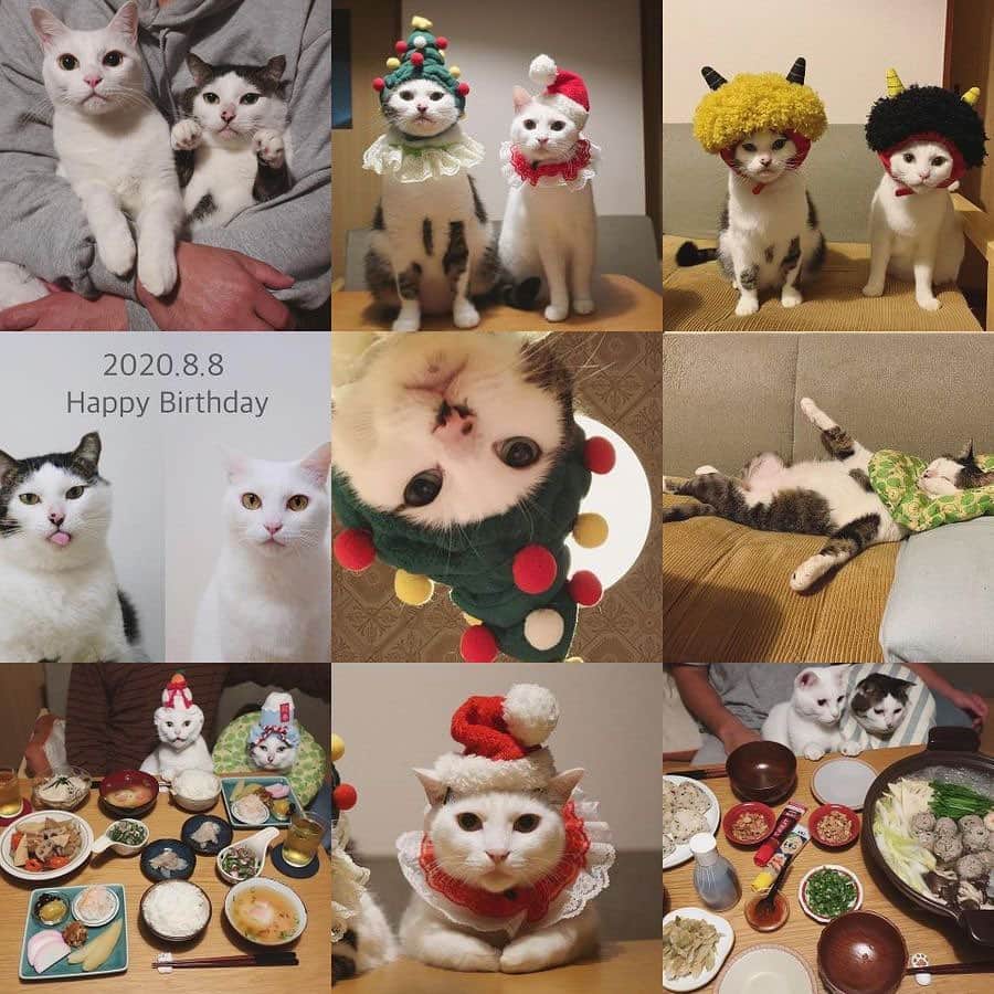 八、おこめのインスタグラム