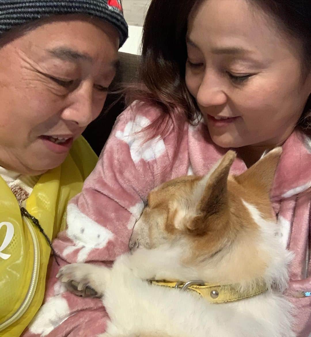 橋本志穂さんのインスタグラム写真 - (橋本志穂Instagram)「あけまして おめでとうございます  今年も家族3匹で 平和に過ごしたいと思っております。  みなさまも 健康で楽しい毎日をー」1月1日 3時57分 - shihohashimoto3