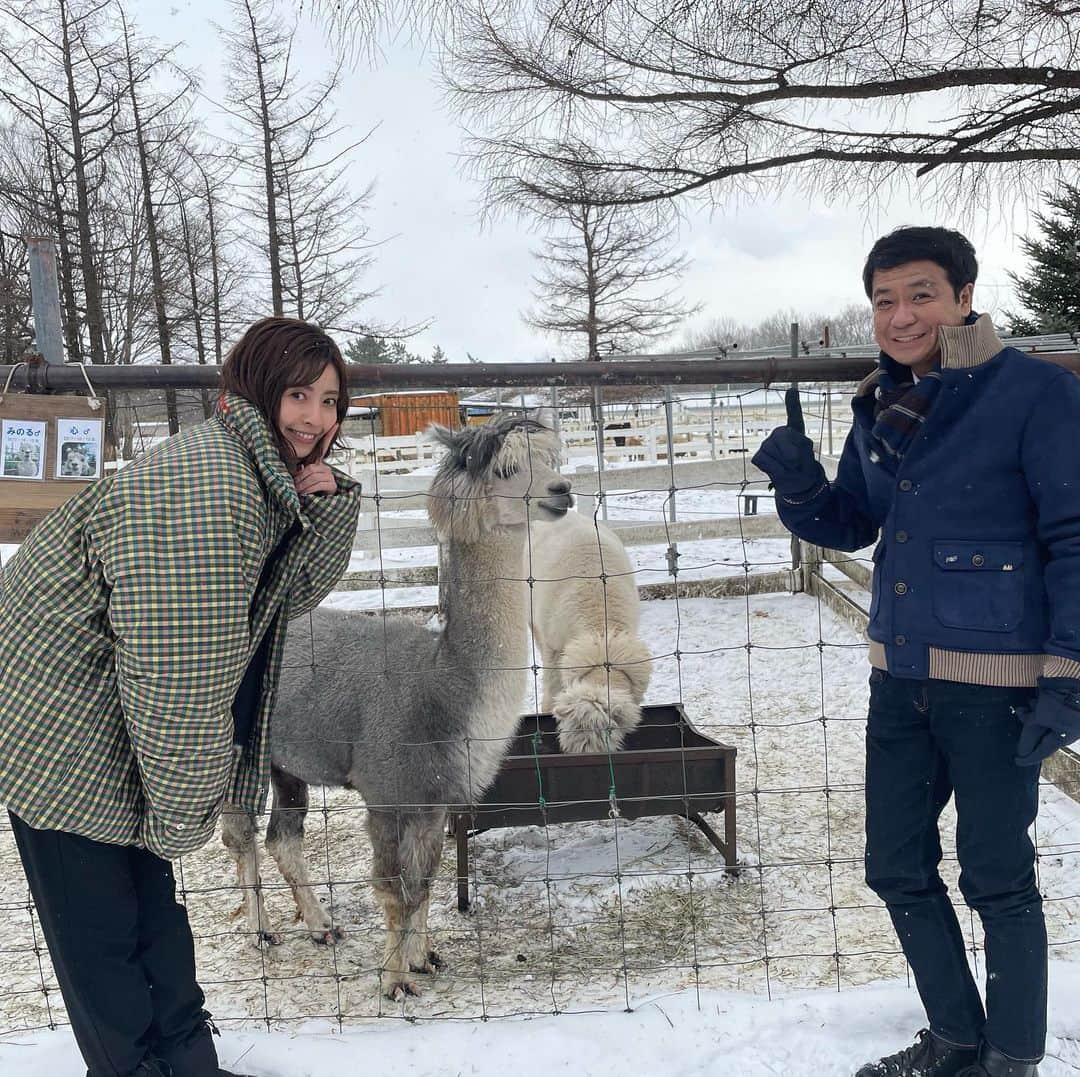 中山秀征さんのインスタグラム写真 - (中山秀征Instagram)「新年明けましておめでとうございます☀️ このあと6:20〜日本テレビ「新春シューイチ」はじまります！！ 是非ご覧ください😊  #日本テレビ #シューイチ #新春 #新春シューイチ #元旦 #大泉洋 さん #片瀬那奈 さん #中山秀征」1月1日 6時19分 - hidechan0731