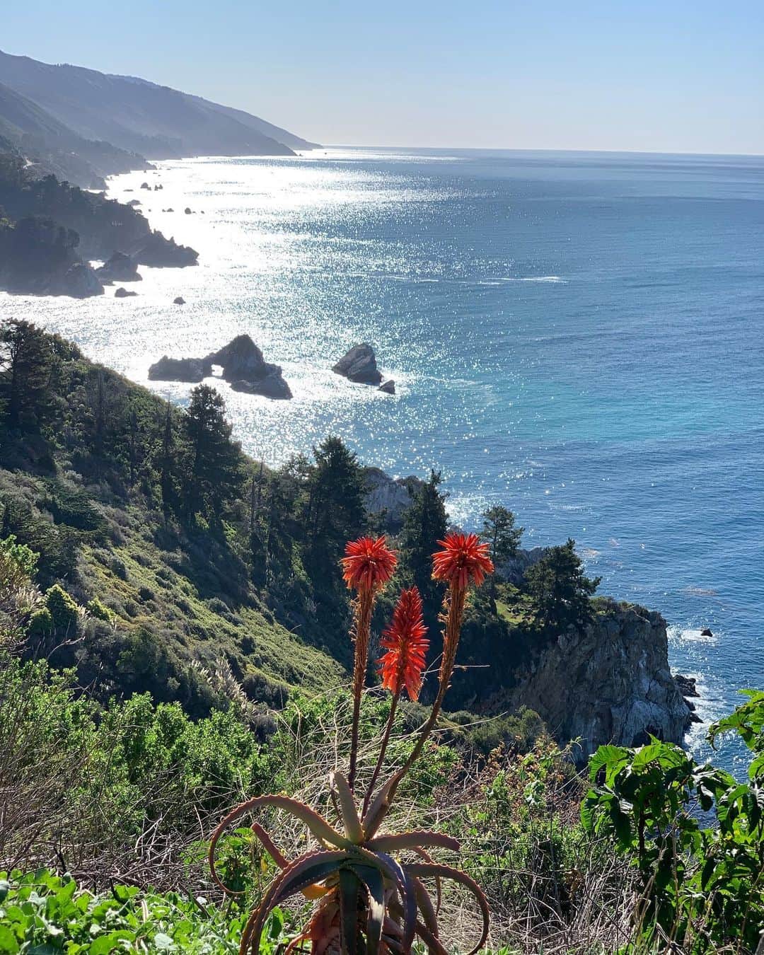 マンディクーンのインスタグラム：「I think this fucking year (this fucking year!) has taught us to surrender- something that doesn’t come easy for some of us. While in labor, my doula called me a “flexible Type-A”, which I’ve held onto since. It’s one of my favorite descriptions- it’s probably an oxymoron really, but I think in reality it’s possible and I love it.  When I think of it (which is all the time), it reminds me- I’m more flexible than I think, you know? It just has to be worked, to be stretched every day. And this year has streeeeeeeeetcheeeeeed us. We are all pliable, almost to the point of breaking. But I think what comes with that is added perspective and appreciation.  I’m going to keep working on my flexibility, because it’s something I have to work on every day. It doesn’t come easy. But we also have the comfort and capacity for strength that flexibility brings.  Above all, we must remember to be easy on ourselves. This is not a normal time- make sure show yourself and others compassion.  My heart goes out to everybody who has lost someone this year, I hope 2021 shows us more grace and ease. ✨✨✨ ❤️❤️❤️」