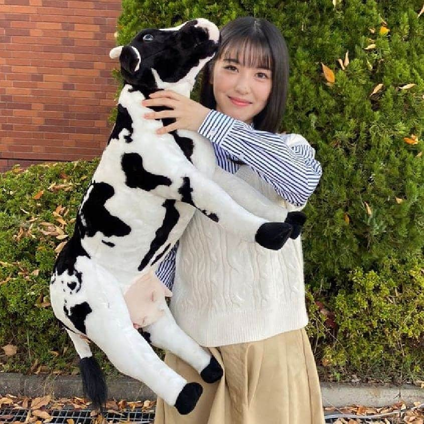 浜辺美波さんのインスタグラム写真 - (浜辺美波Instagram)「あけましておめでとうございます🐄 ・ ・ ・ #浜辺美波 #はまみぃ #ベーやん #ベーやんスタイル #はまべみなみ #はまべみなみちゃん #minamihamabe #みーたん #みーちゃん #浜辺美波可愛すぎ #浜辺美波好きな人と繋がりたい #令和三年 #2021年 #丑年 #元旦 #l4l #f4f #tokyo #japan #instagramer #instagood #instalike #instapic」1月1日 7時33分 - lgm_naotan