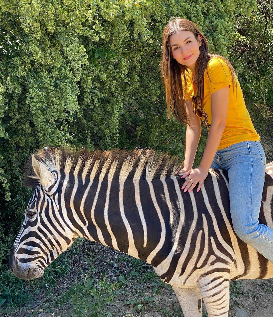 ヴィクトリア・ジャスティスのインスタグラム：「2020, you’ve been a super weird year but I’m also incredibly grateful for you. I got to travel to a place I’ve always wanted to go (South Africa), filmed 2 movies, put out new music for the first time in 7 years, made a music video & for that I’m incredibly grateful. You definitely had your challenges and many ups and downs, but I made it through. I couldn’t have done it without all of you. Thank you for all your support. I see you & I appreciate you more than you know.  Here’s to 2021!!! Stay safe. I love you guys & wishing you nothing but the best in this new year🙏🏼♥️」