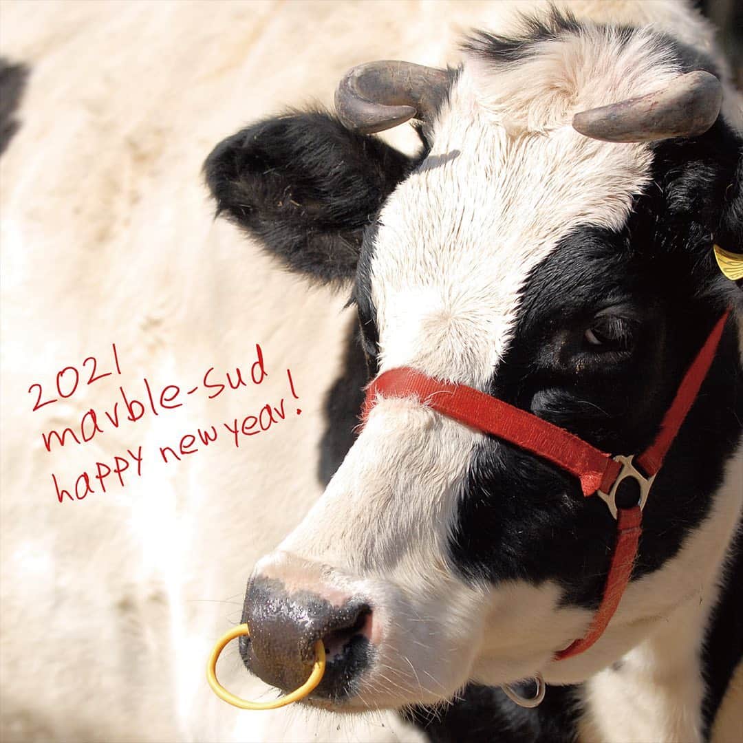 marbleSUD(マーブルシュッド) のインスタグラム：「新年明けましておめでとうございます。2021年が皆さまにとって素敵な1年になりますように。marble SUDからもワクワクをお届けできるよう頑張ってまいります。 今年もどうぞよろしくお願いいたします。  新年最初のイベントは「直営店限定！新春福袋」の発売です。各店の発売日は、公式HPのnewsにて公開中！プロフィールのURLからもアクセスいただけます。お店では楽しいくじ引き大会も同時開催いたします。」